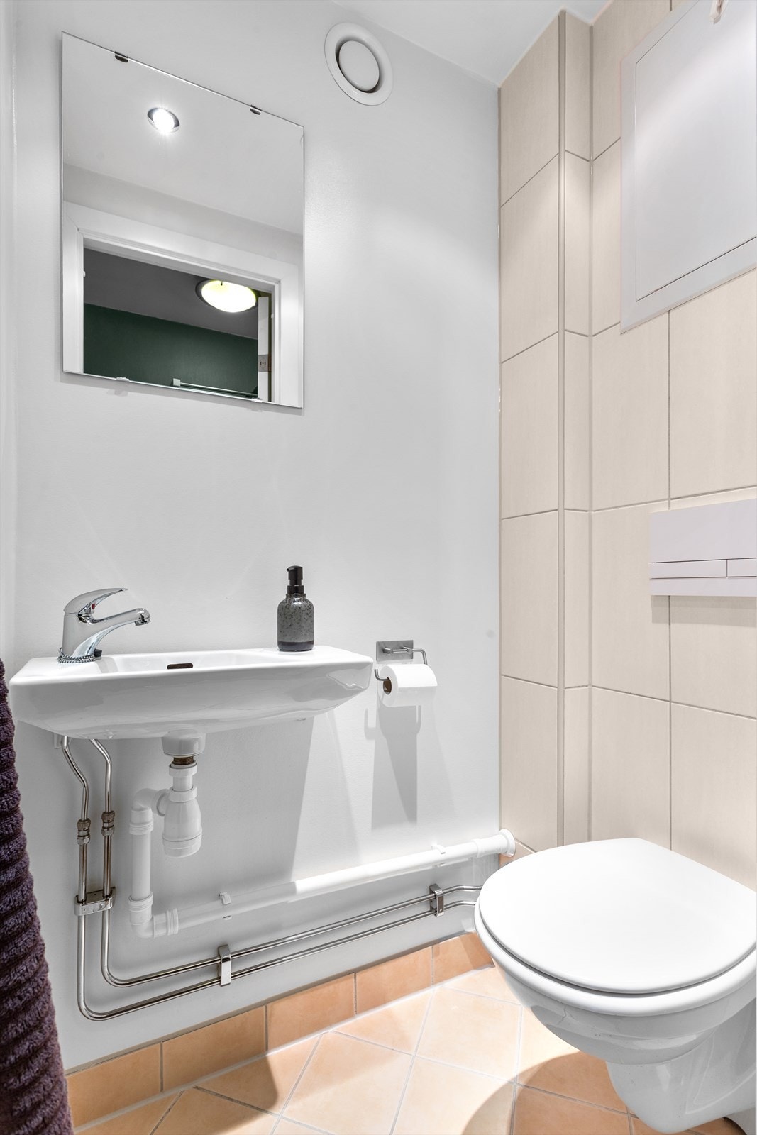 Praktisk separat wc. Galleribilde