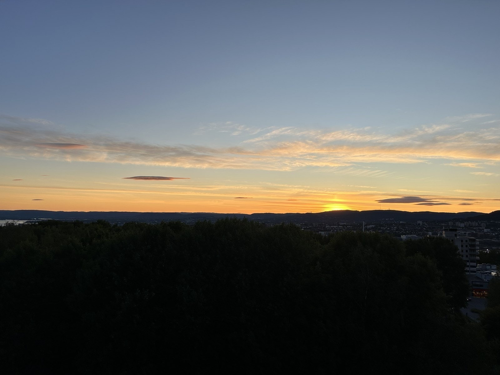 Bilde tatt av selger Galleribilde