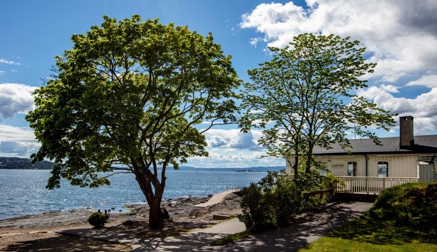 Huk er en av Oslos mest populære badestrender med flotte gress- og strandområder for grilling, bading, lek og soling. Hukodden strandrestaurant er under rehabilitering og er planlagt ferdigstilt juni 2026. Galleribilde