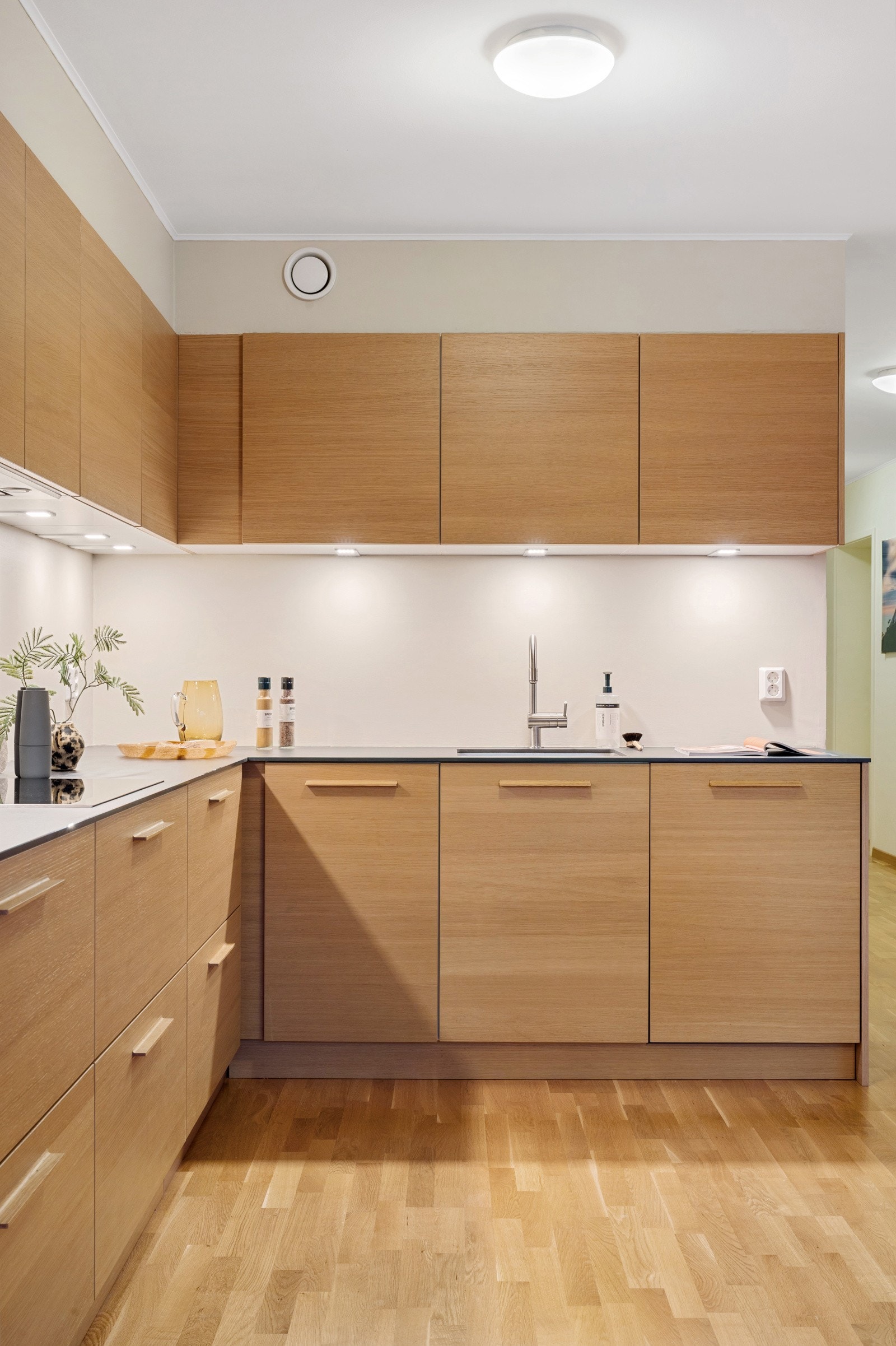 Hvitevarer som oppvaskemaskin, steketopp og stekeovn er integrert. Galleribilde