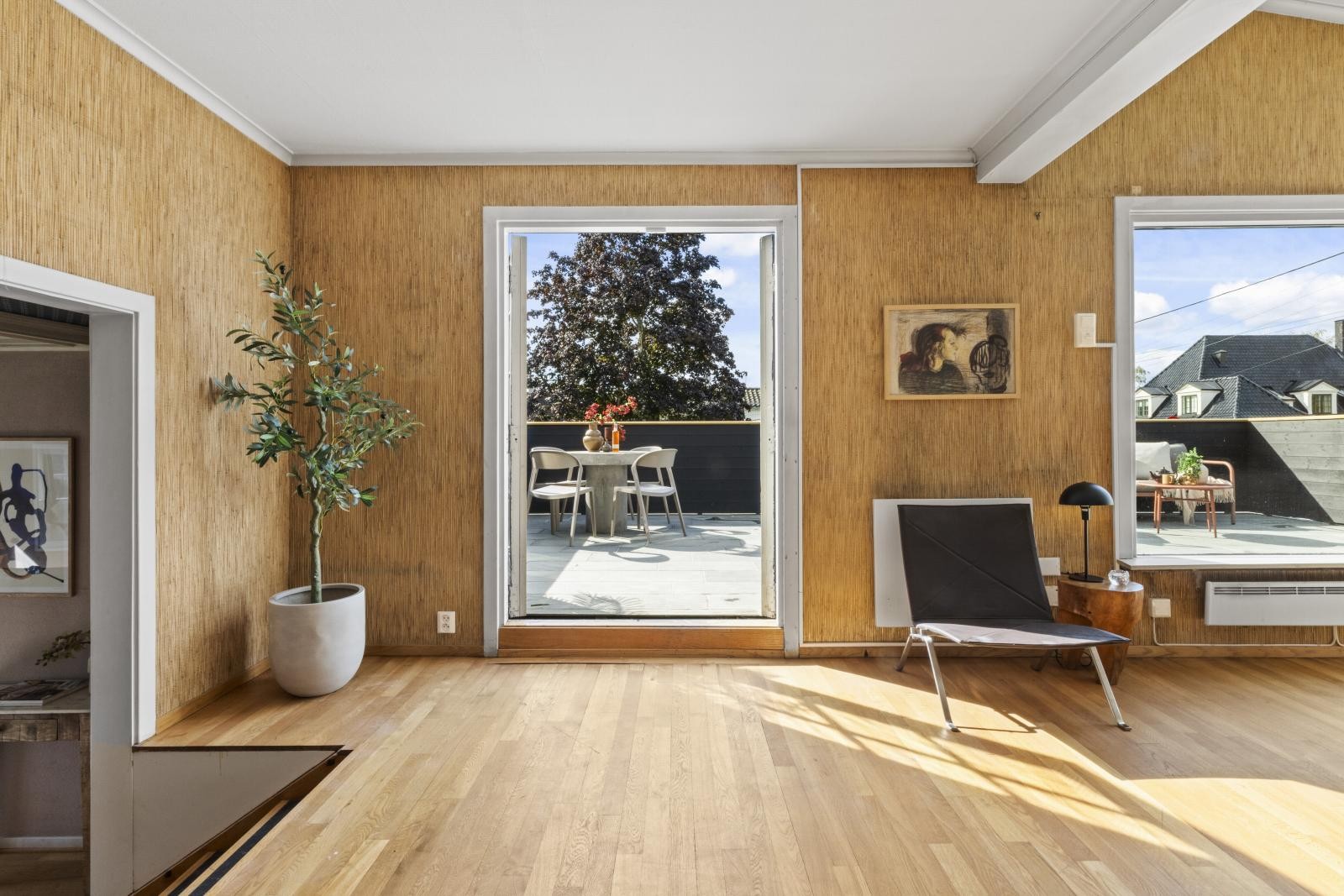 Utgang til stor terrasse fra stue Galleribilde