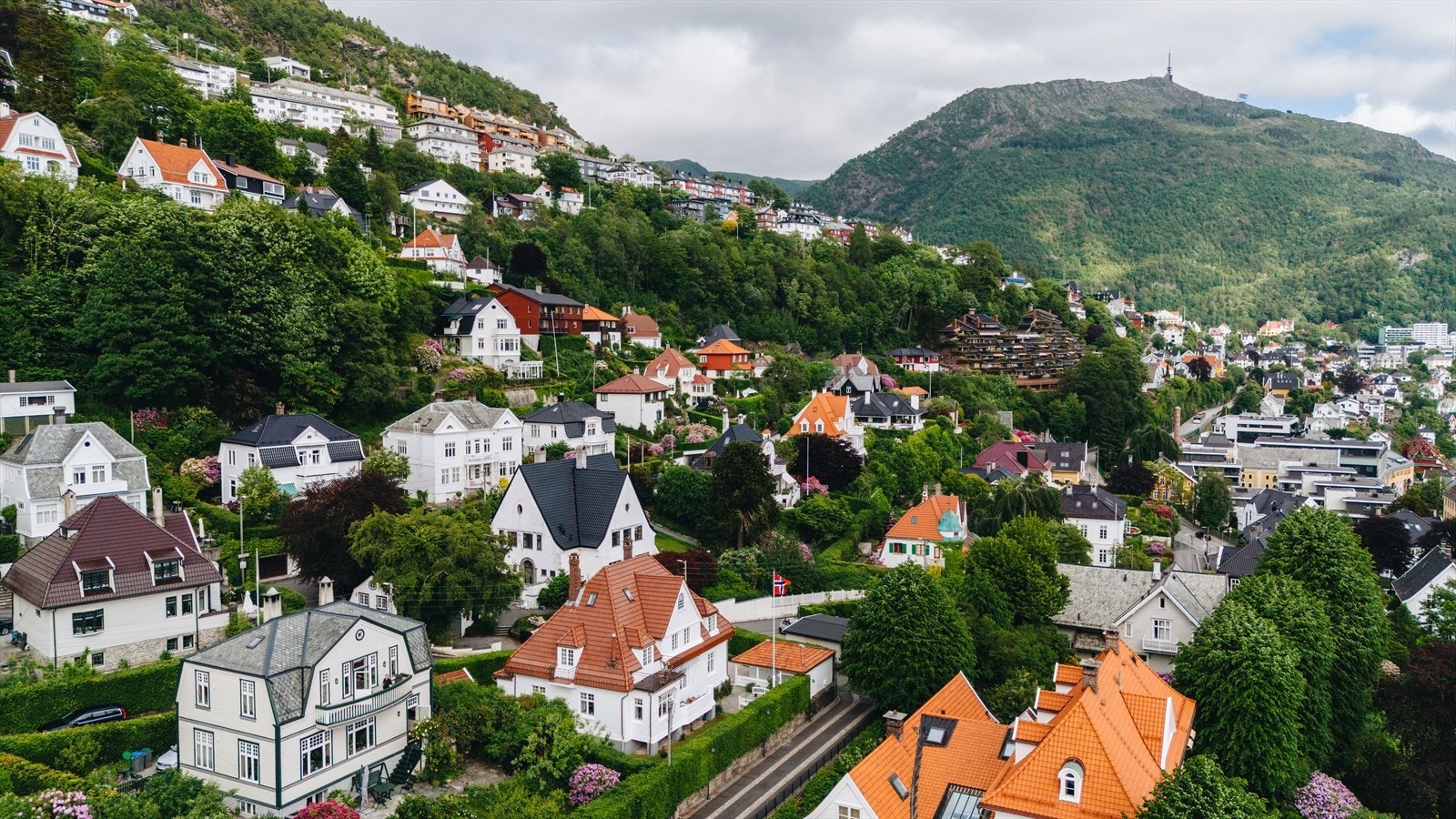 - Velkommen til en hyggelig visning! - Galleribilde