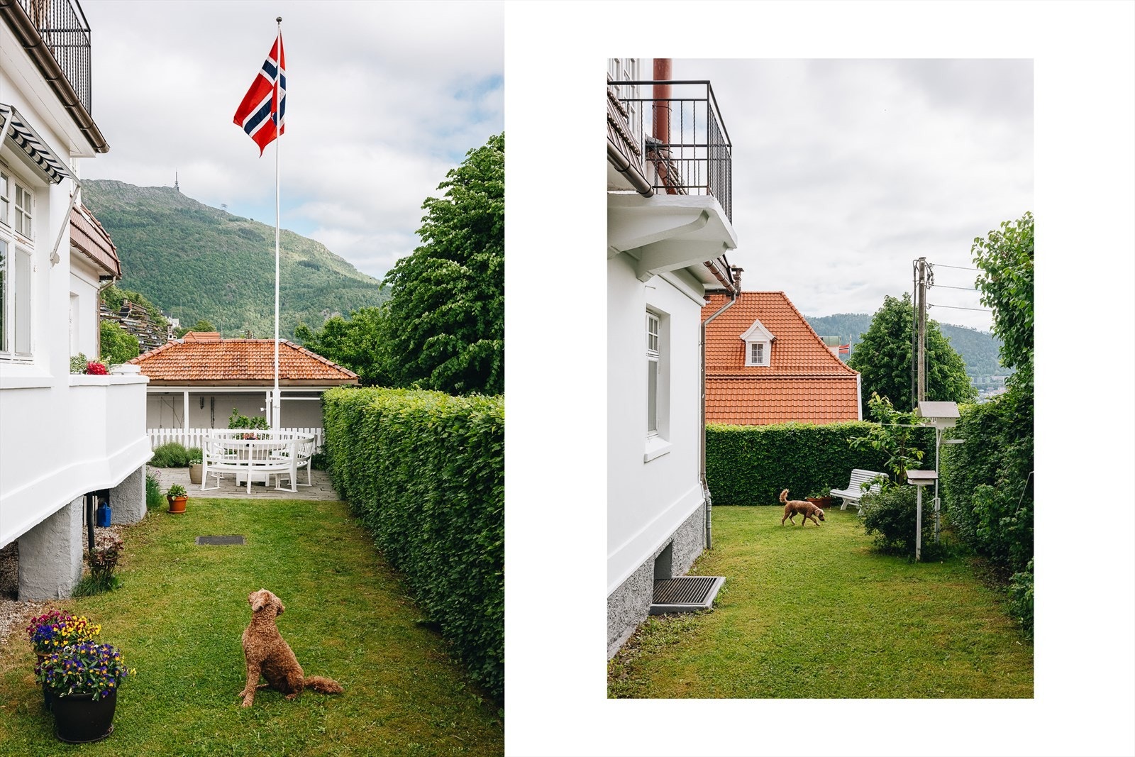 - Fra tomten kan nydelig utsikt mot Ulriken nytes - Galleribilde