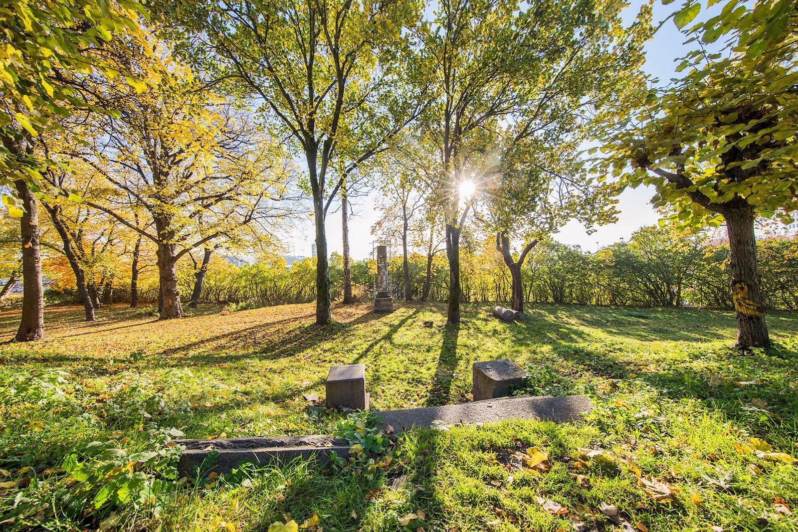 Skarpsnoparken. Galleribilde
