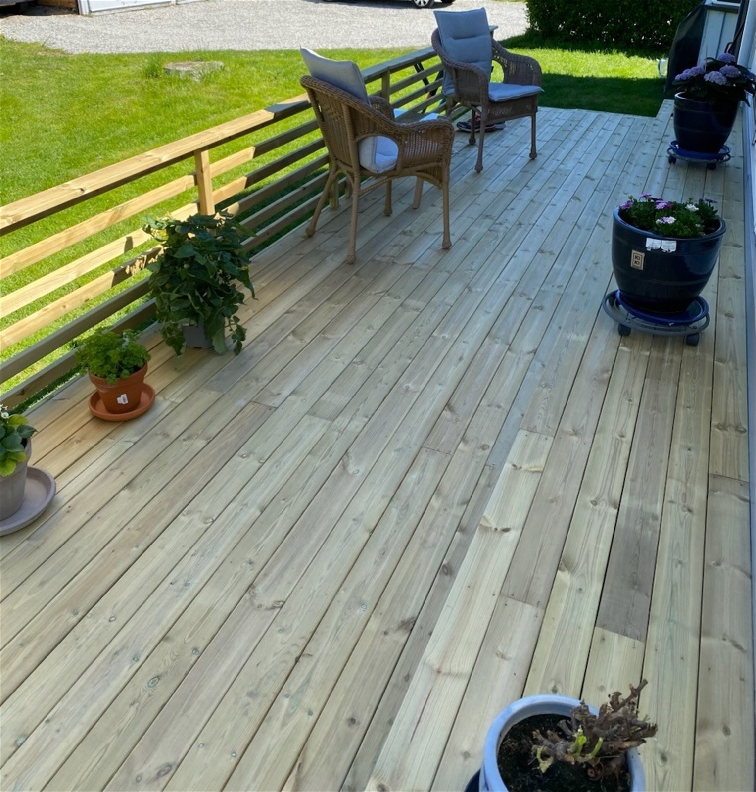 Terrasse (sommer) - Selgers bilde Galleribilde