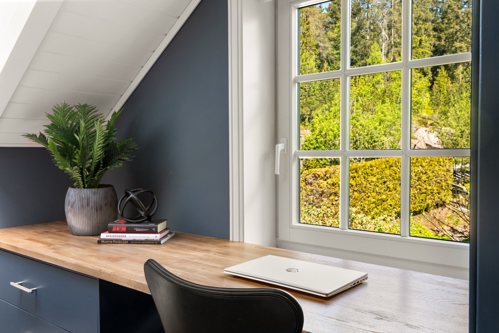 Naturskjønt utsyn fra kontorplassen. Galleribilde