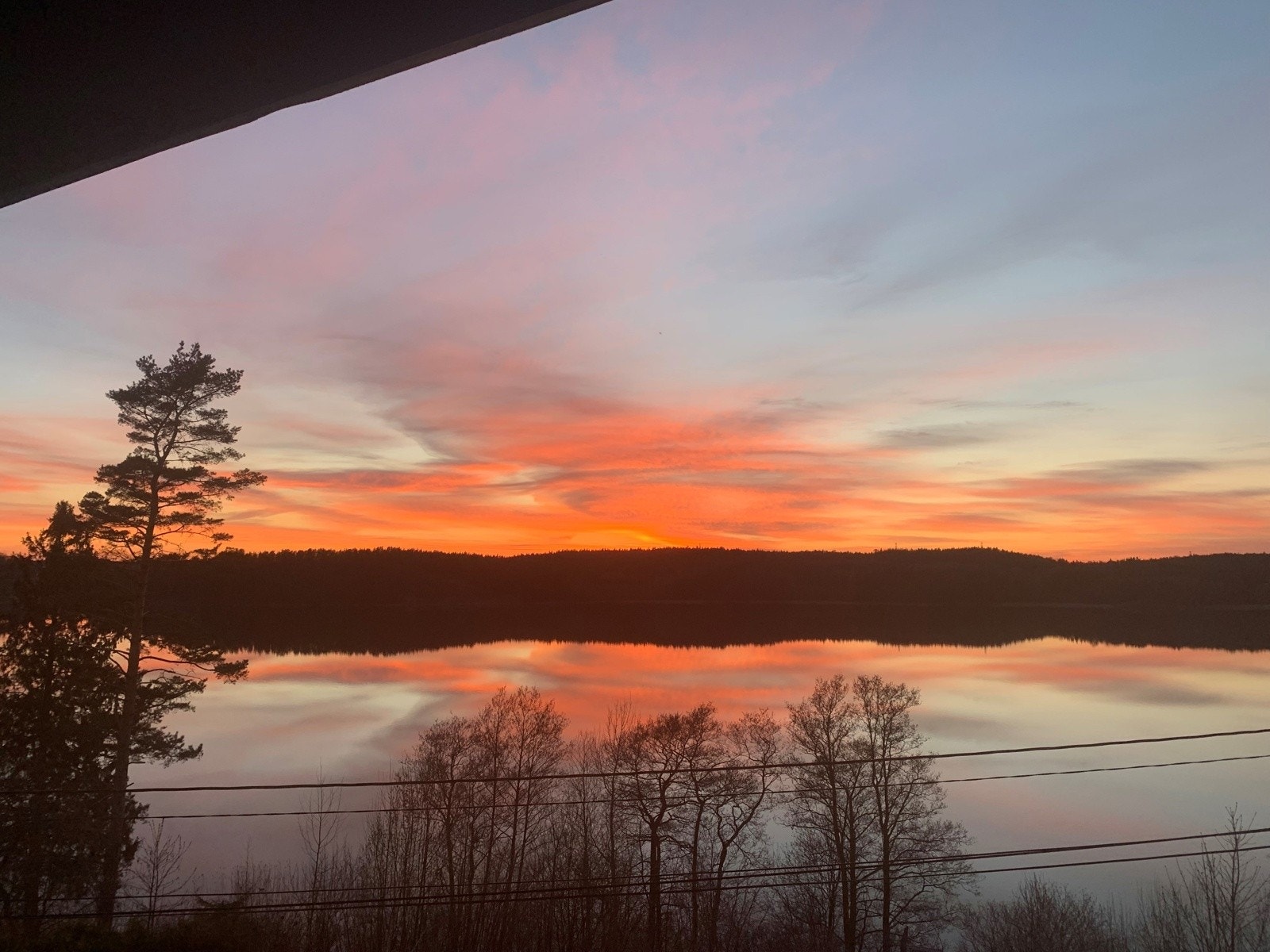 Bilde fra selger Galleribilde