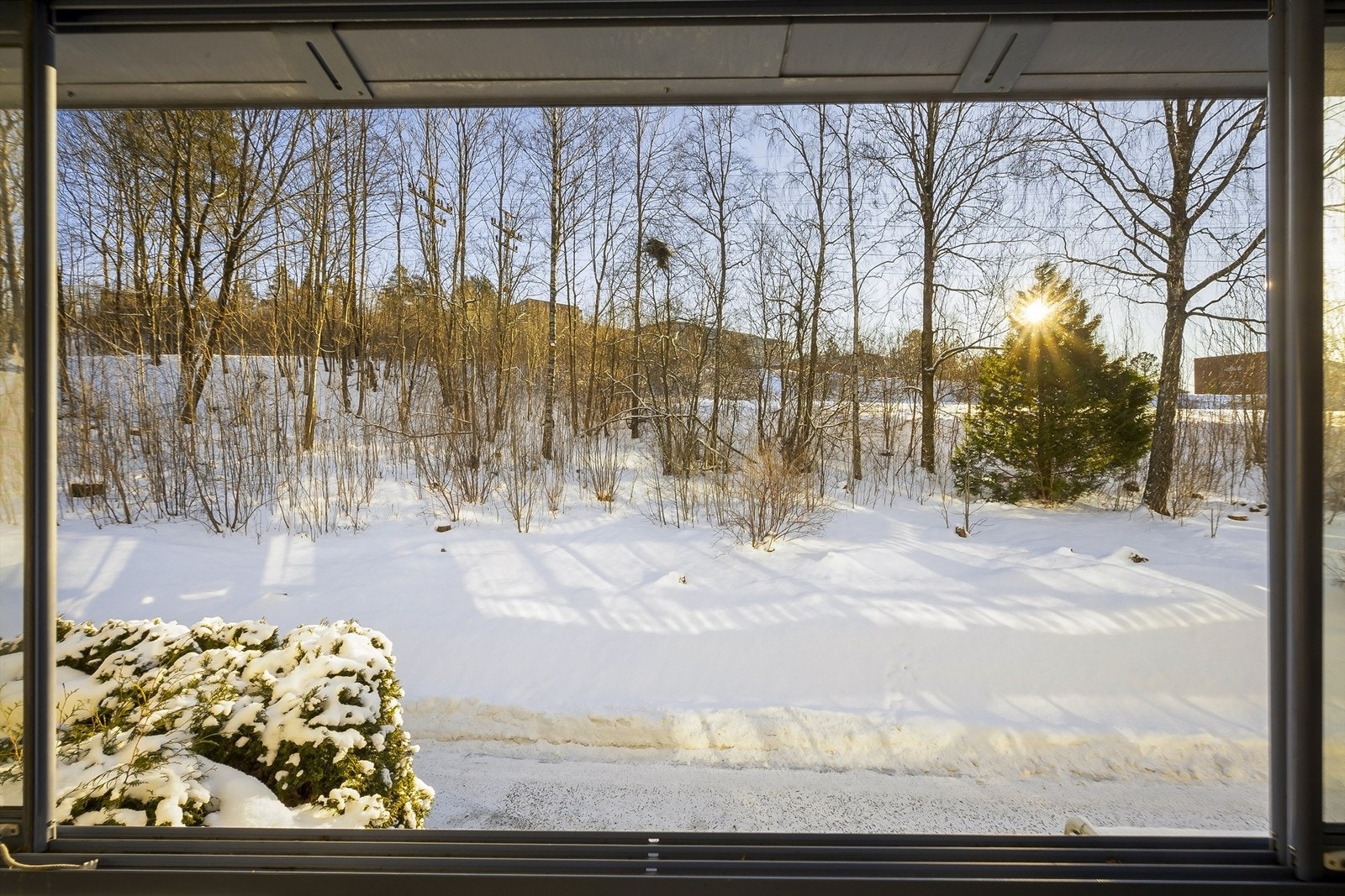 Hyggelig vinterutsyn mot skogholt, fra innglasset balkong.
Foto: Martine Eren Jacobsen Galleribilde