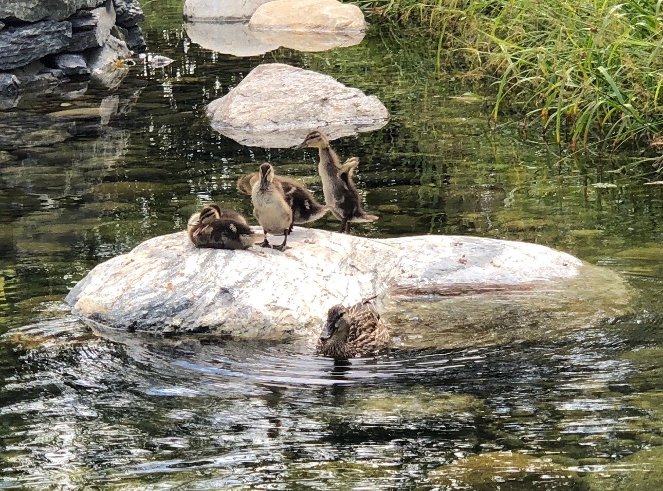 Områdebilde fra Forskningsparken. Galleribilde