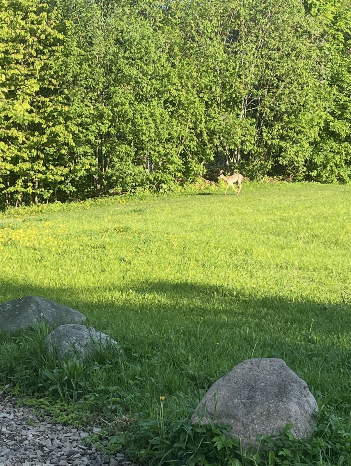 Områdebilde fra Forkningsparken. Galleribilde