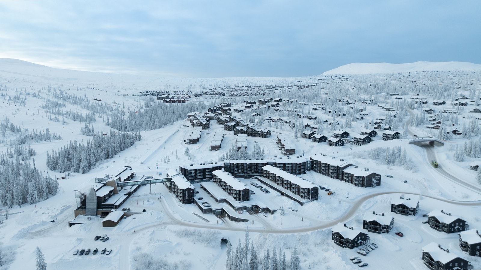 Velkommen til visning! Galleribilde