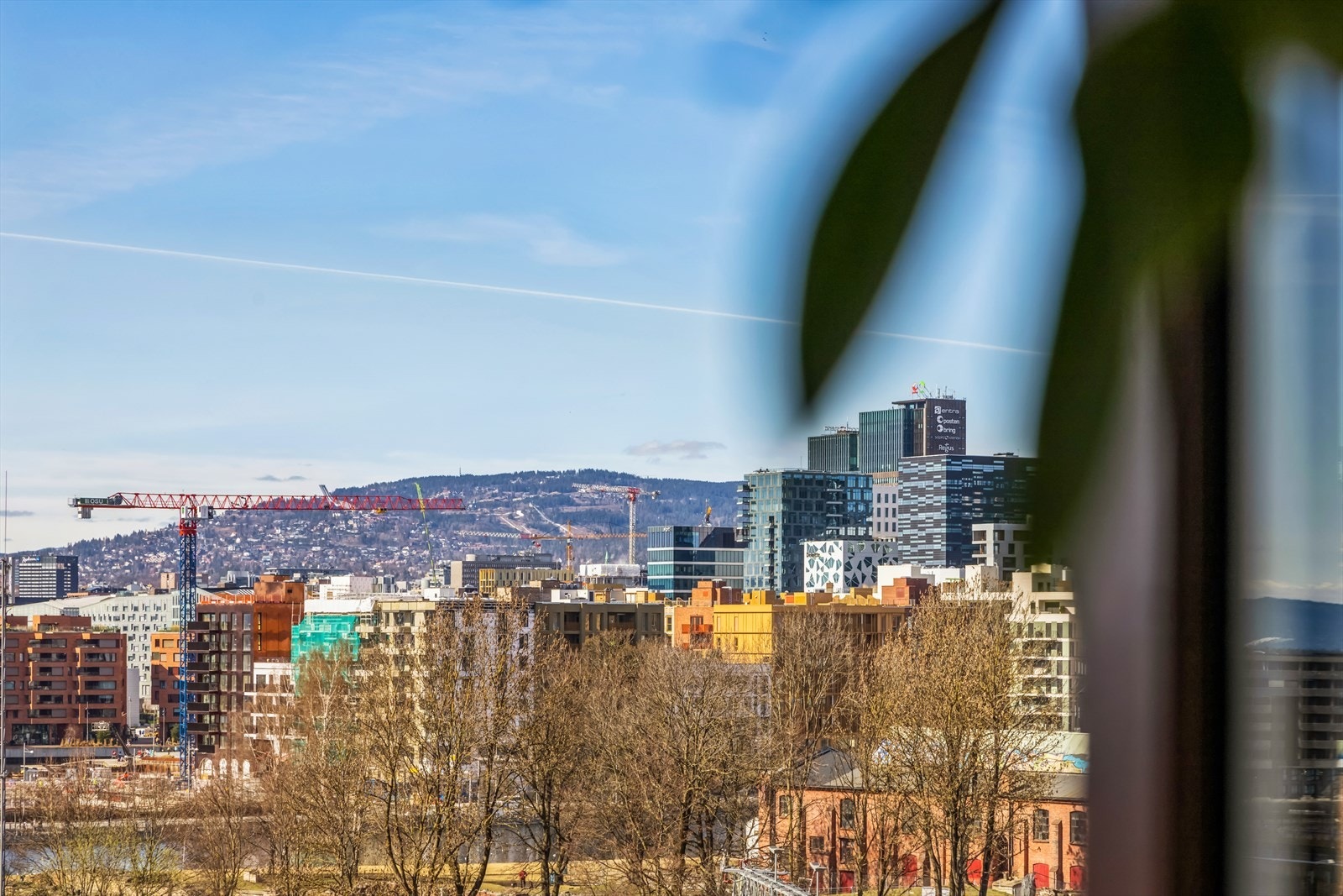 Det er flott utsikt fra leiligheten ( bilde tatt høsten 2023) Galleribilde