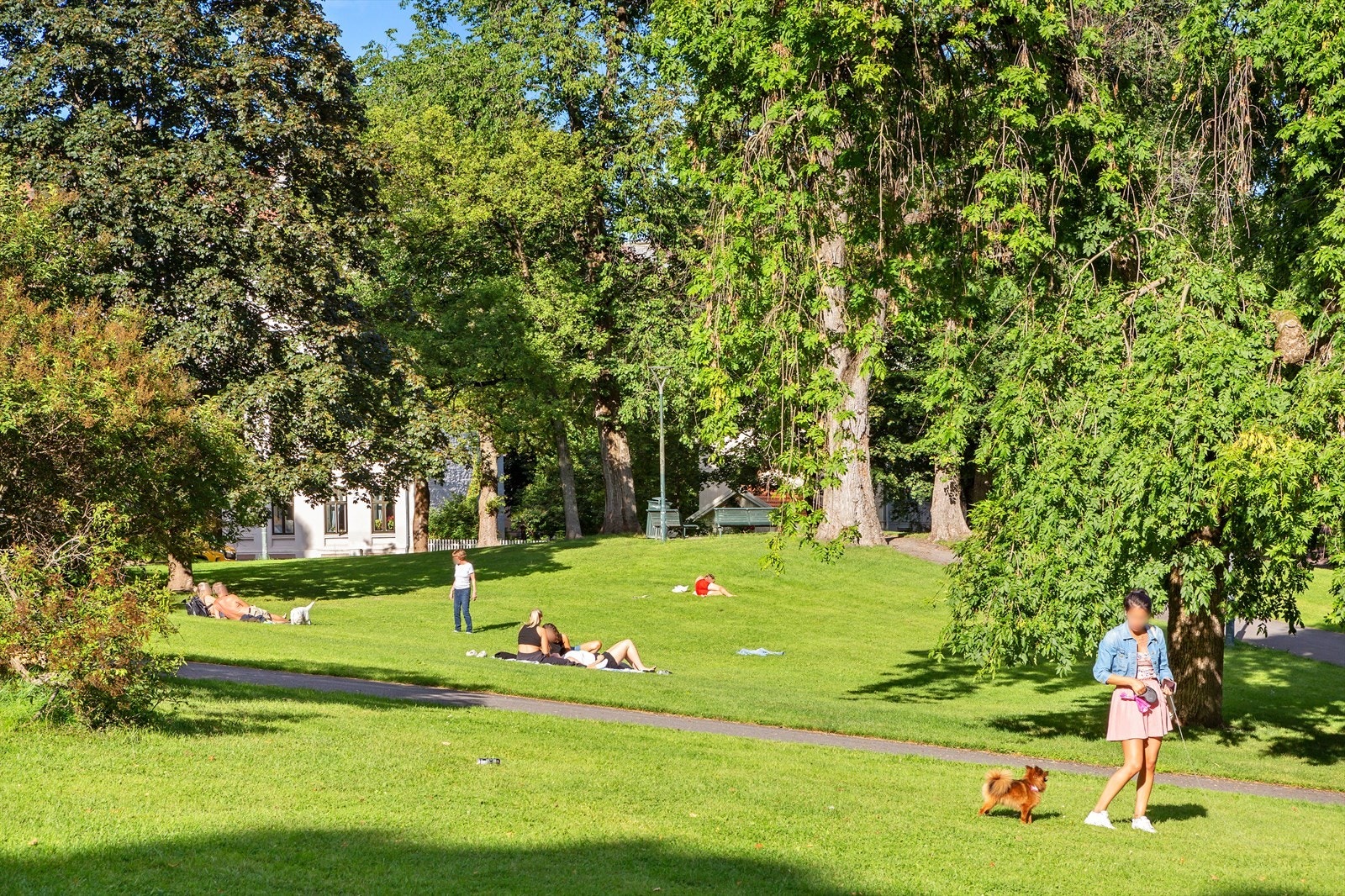 Bjølsenparken er en stor, grønn "lunge" like ved leiligheten. Perfekt for varme sommerdager! Galleribilde