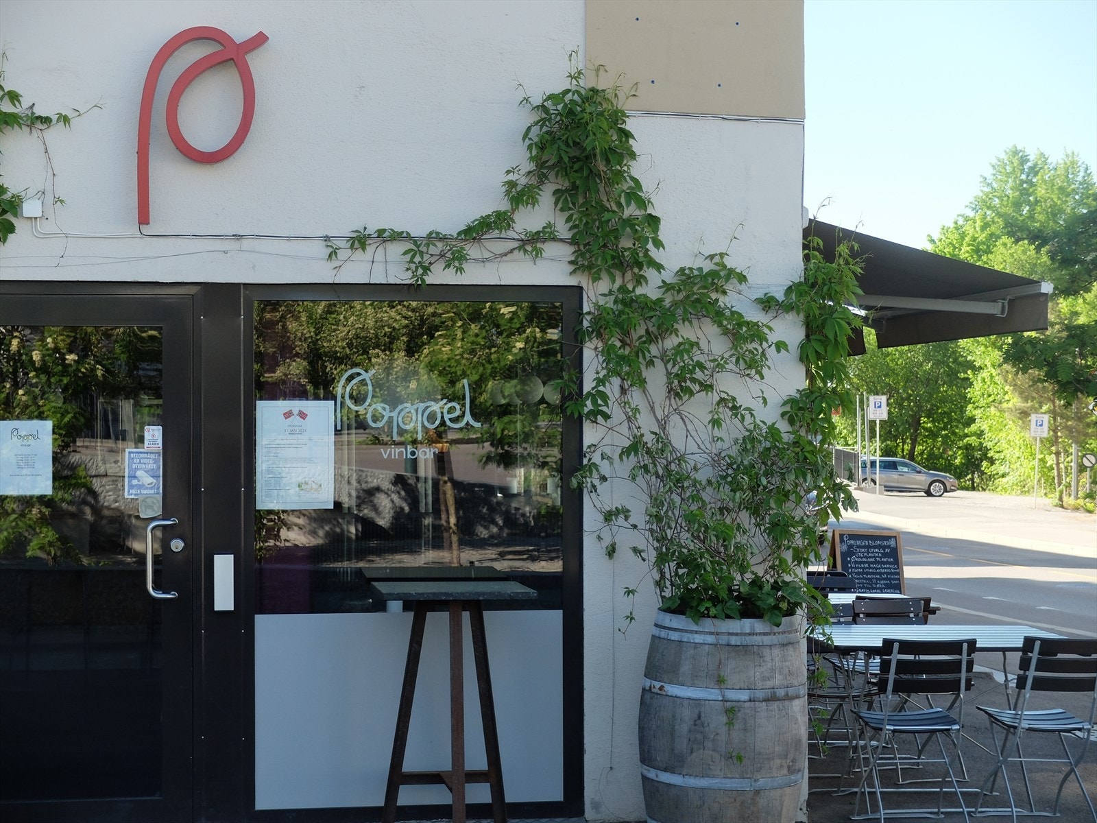 Populære Poppel Vinbar Galleribilde