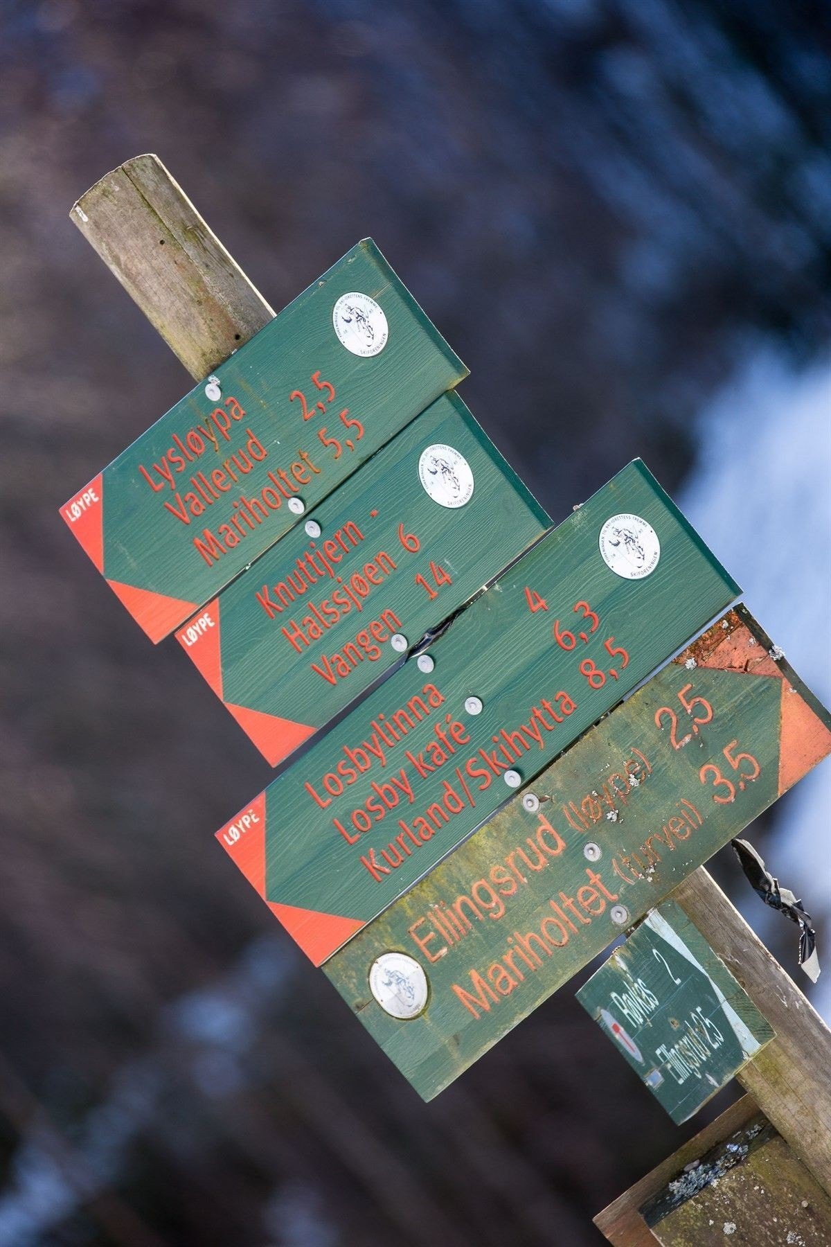 Flott turterreng i Østmarka, like utenfor døren Galleribilde