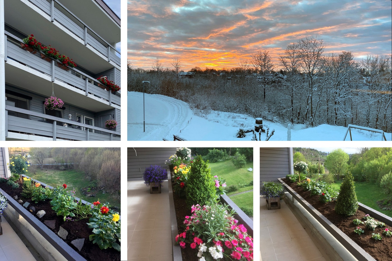 Selgers bilde Galleribilde