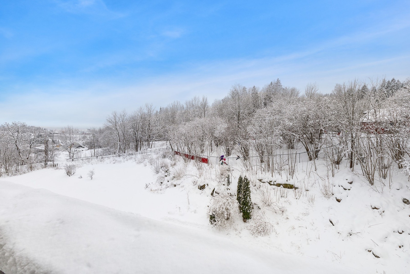 Gode solforhold Galleribilde