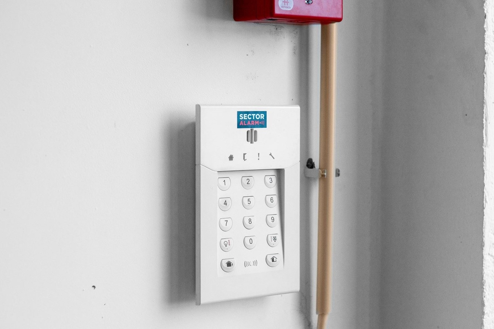 bkfoto.no_Isdamvn20J_039.JPG Galleribilde