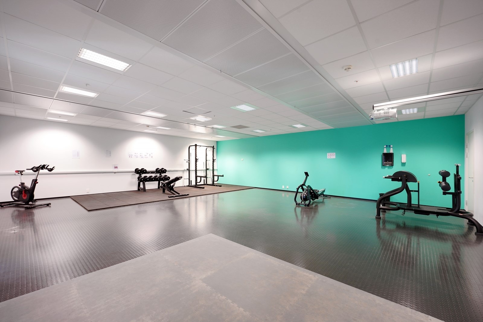 Kanalarmen 12 Galleribilde