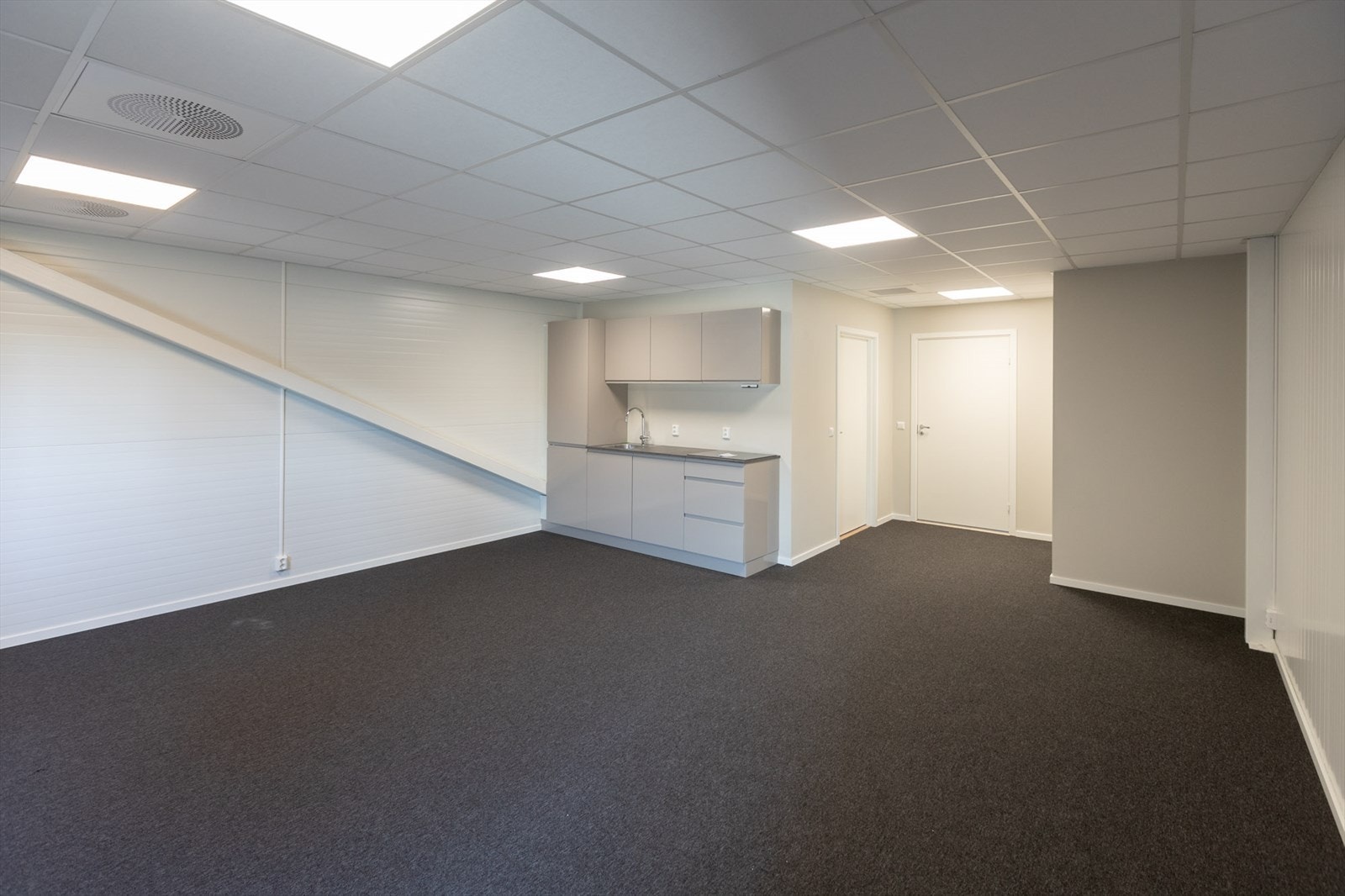 Torvstikkeren-1b Galleribilde