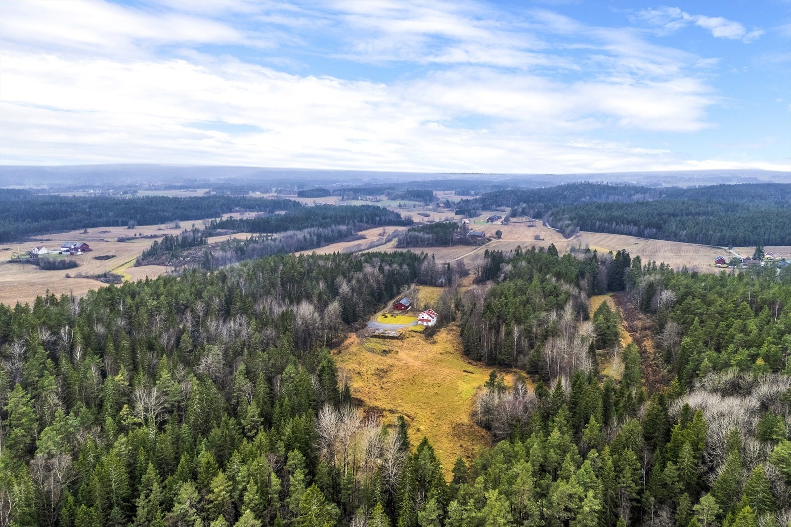 Det dyrkede arealet med skogteigen i midten er gjerdet mot rovdyr, så her er det gode muligheter for dyrehold. Galleribilde