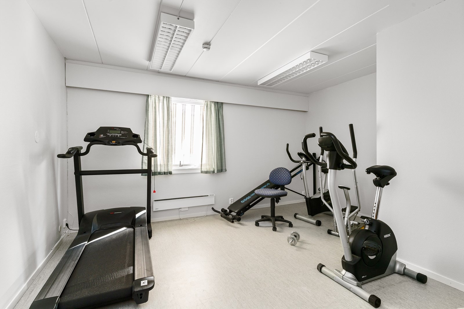 trimrom01.jpg Galleribilde