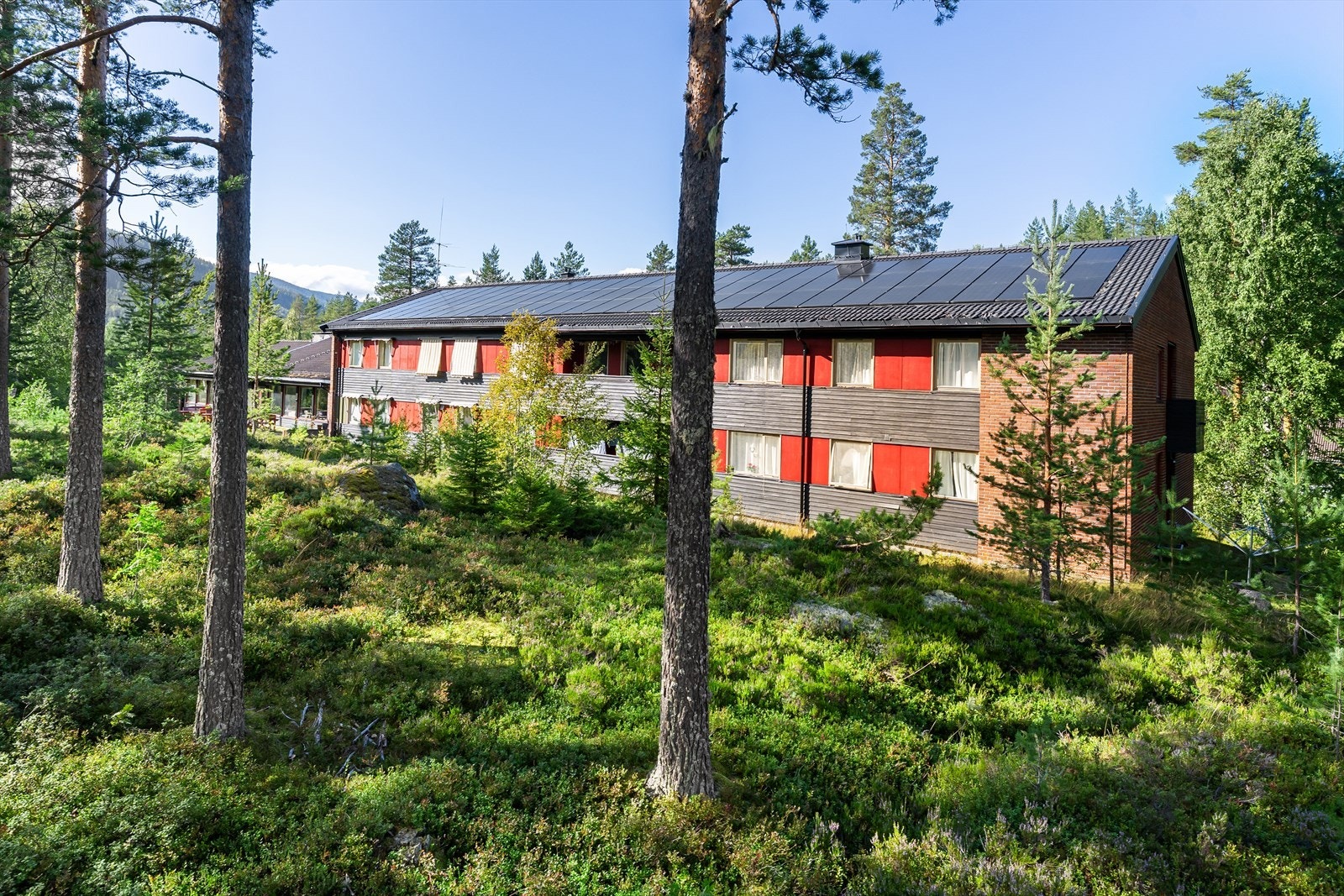 fasade05.jpg Galleribilde