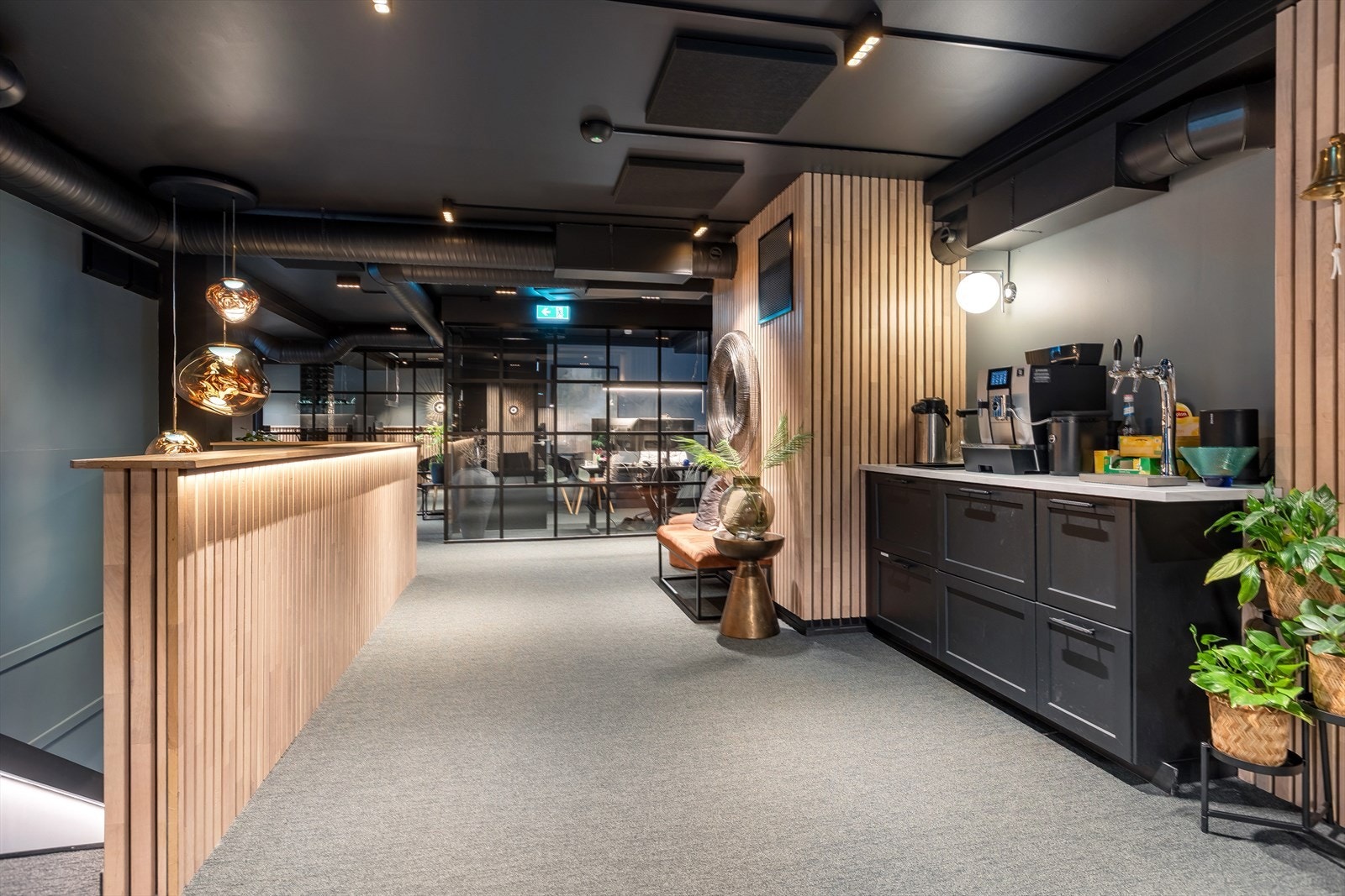 Fellesareal Galleribilde