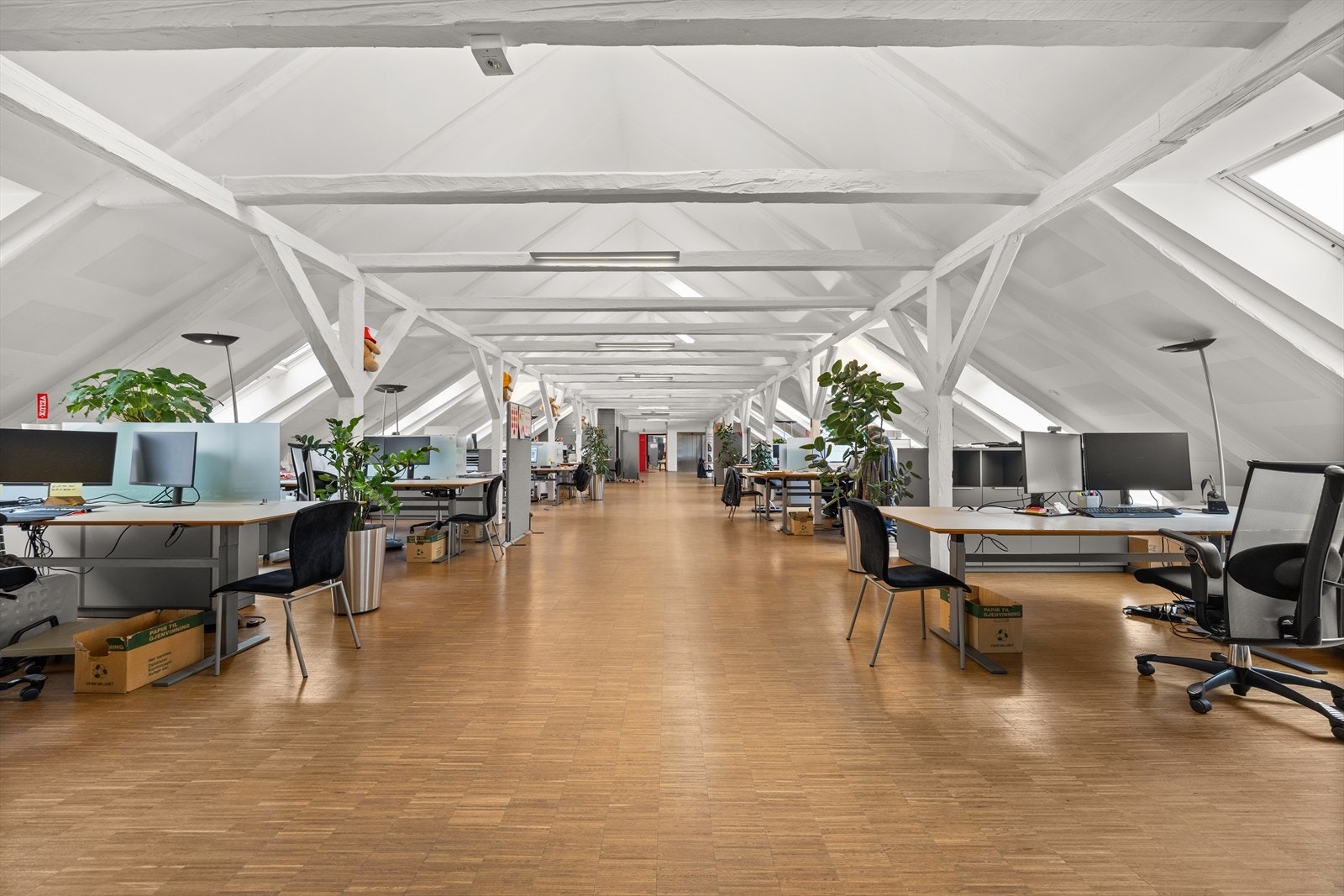 Loftsetasje ca BTA 446 kvm - Ca 20 kontorplasser - Heis Galleribilde