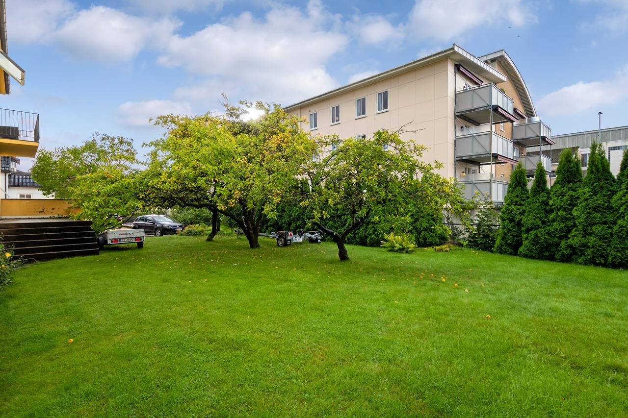 Flat opparbeidet tomt Galleribilde