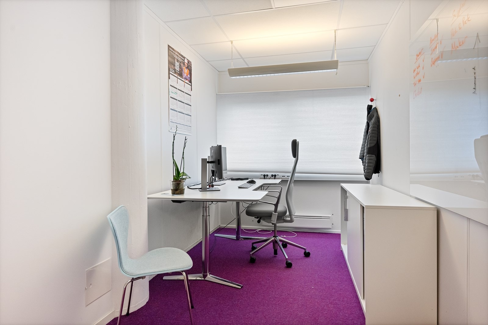 DSCF6711.jpg Galleribilde