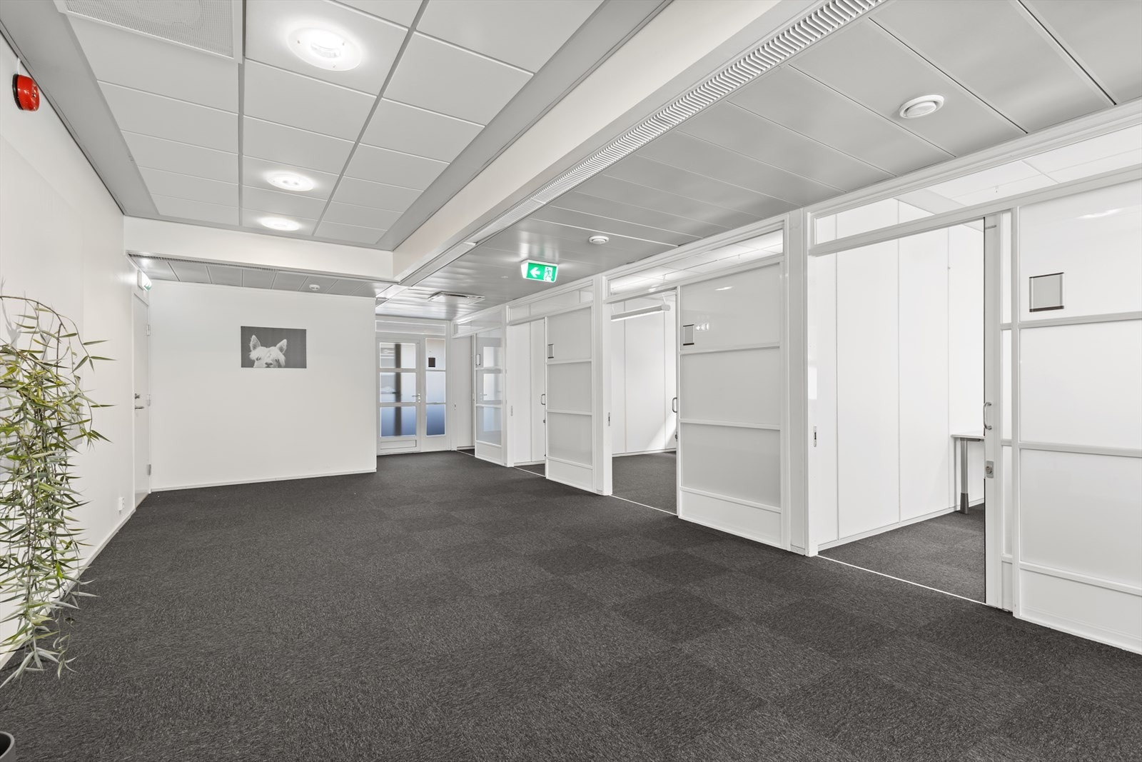 306407_3W1A0241-2.jpg Galleribilde