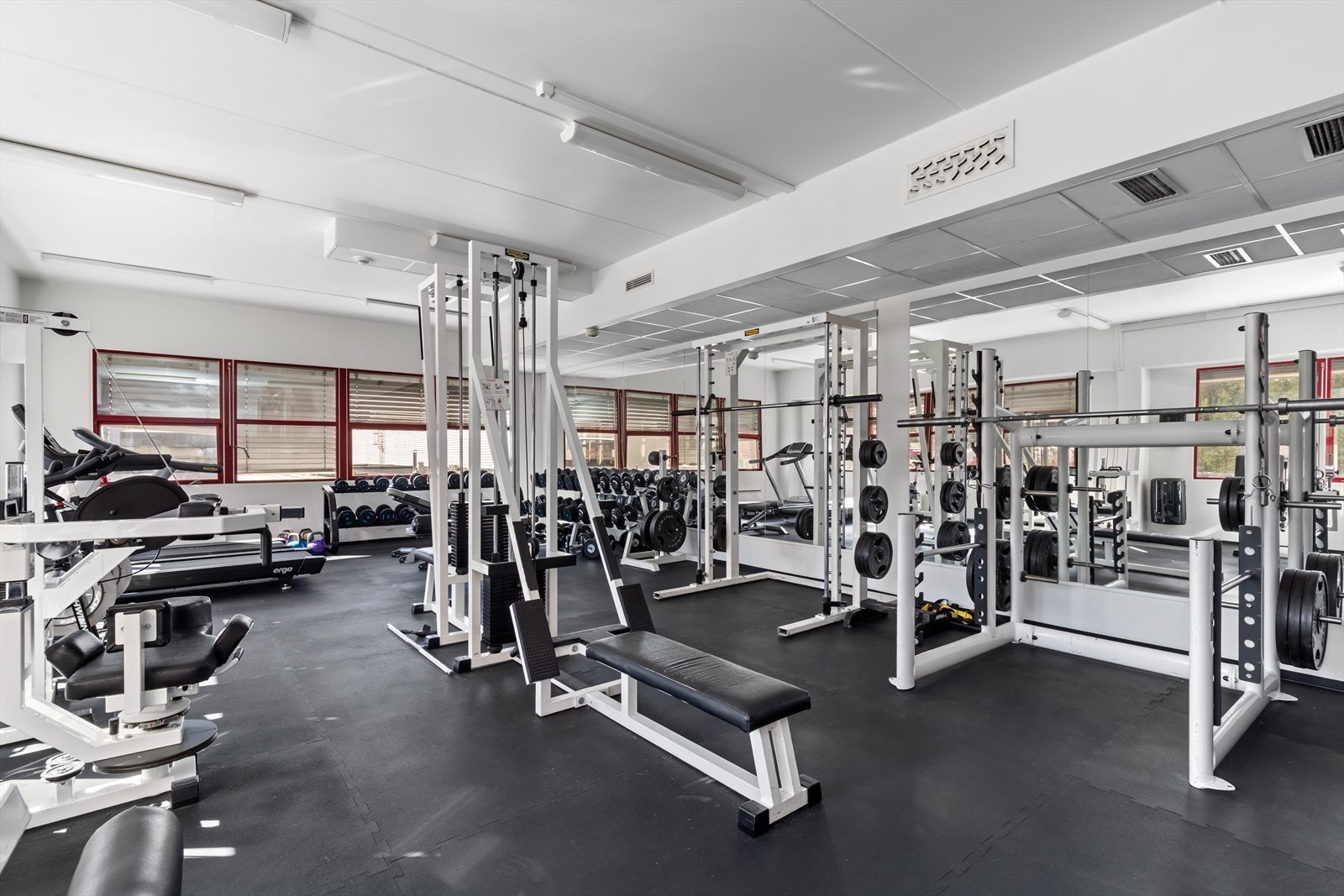 306407_3W1A0220.jpg Galleribilde