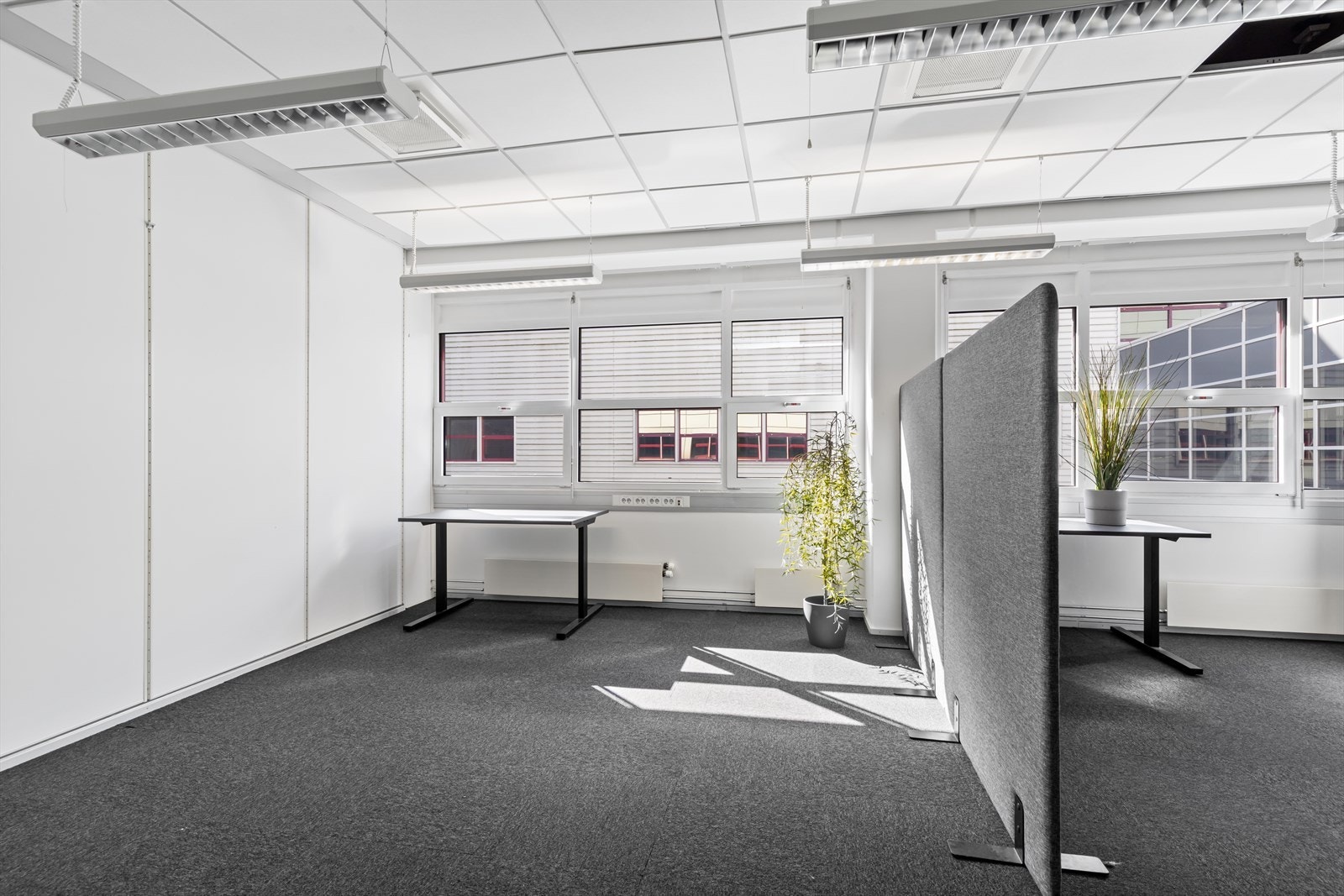 306407_3W1A0237-2.jpg Galleribilde