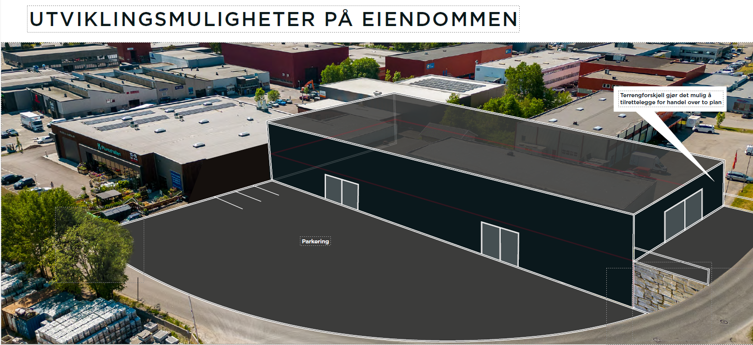 Utviklings mulighet skisse Galleribilde