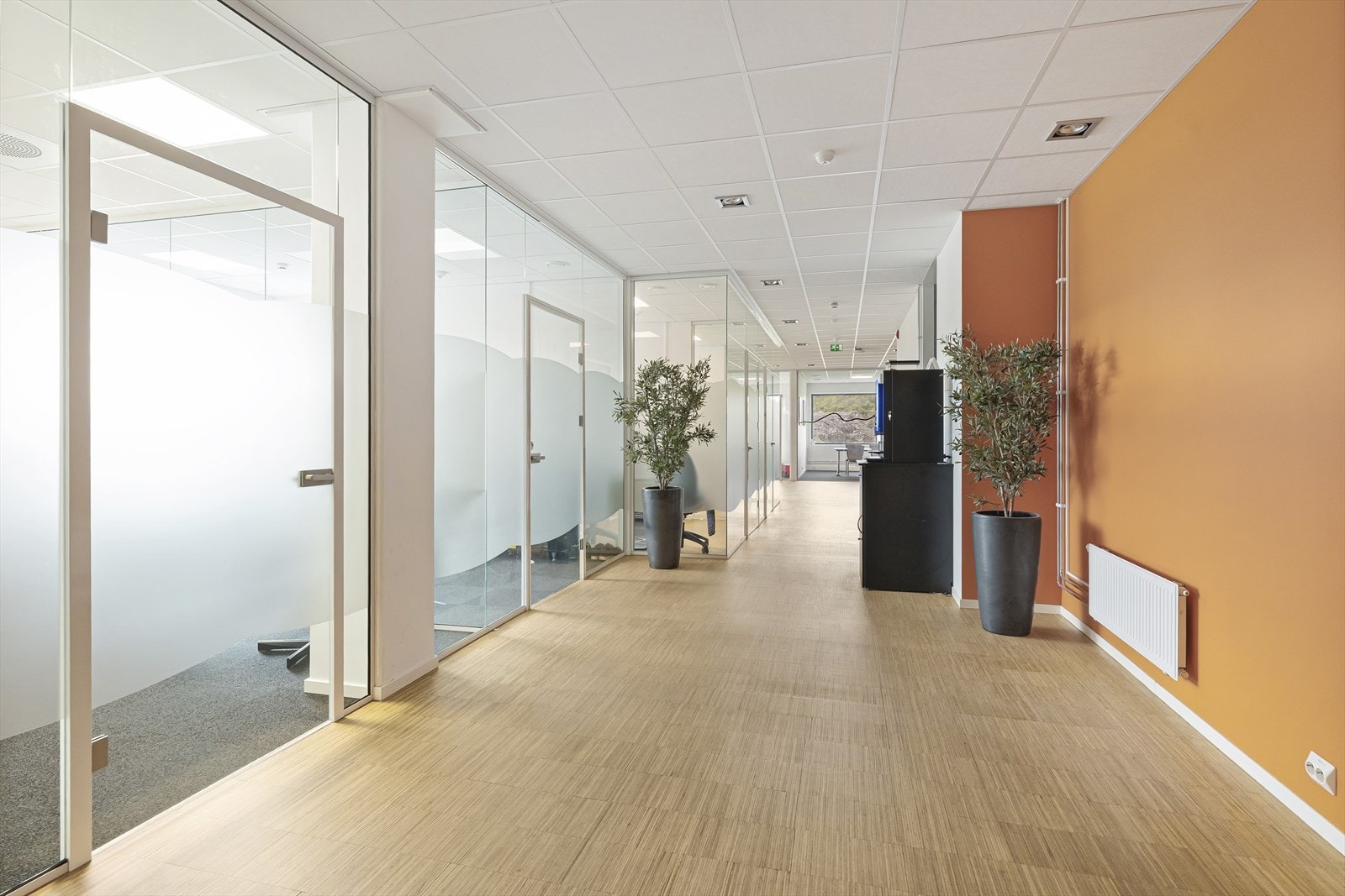 DSCF2140.jpg Galleribilde