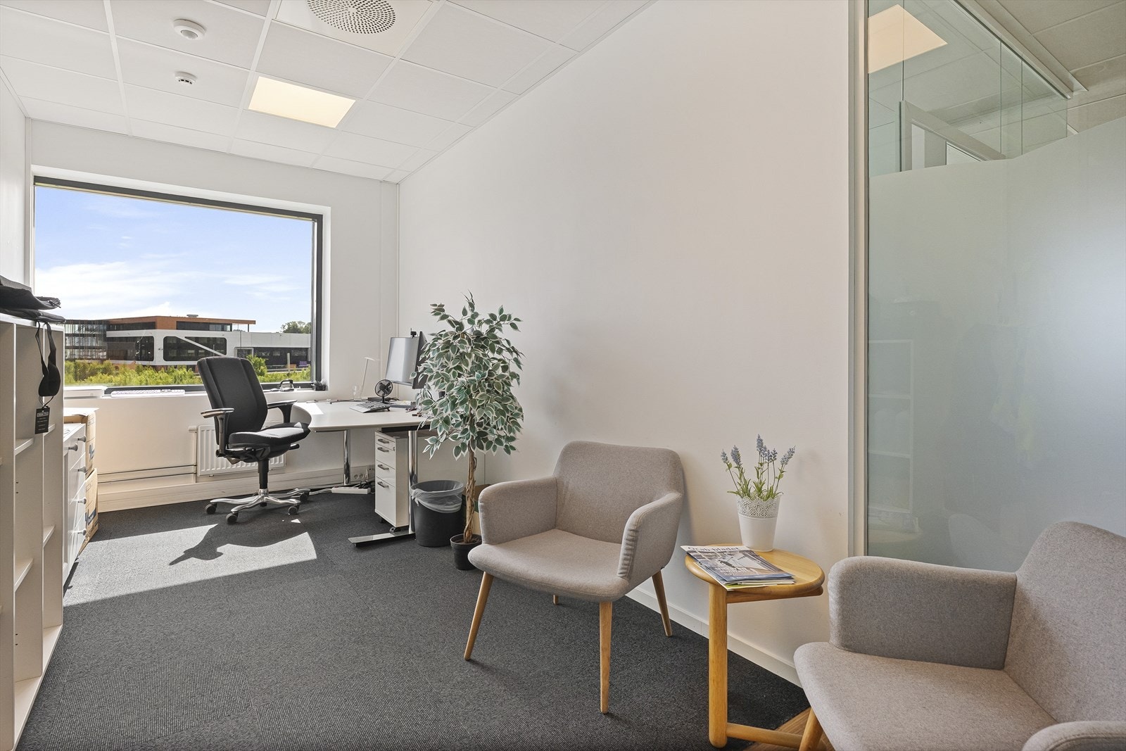 DSCF2113.jpg Galleribilde