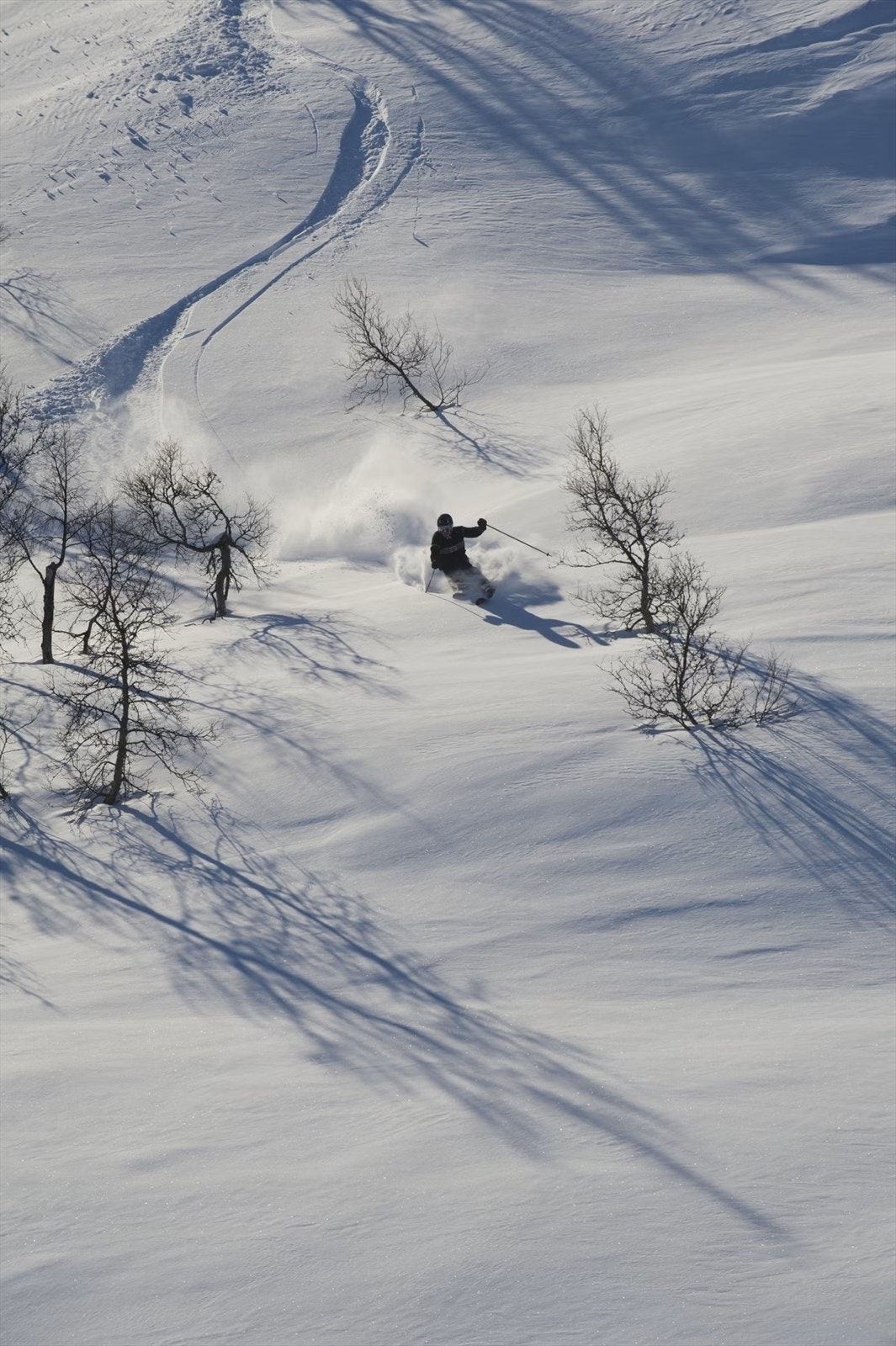 Perfekt bakke for Randonee.jpg Galleribilde