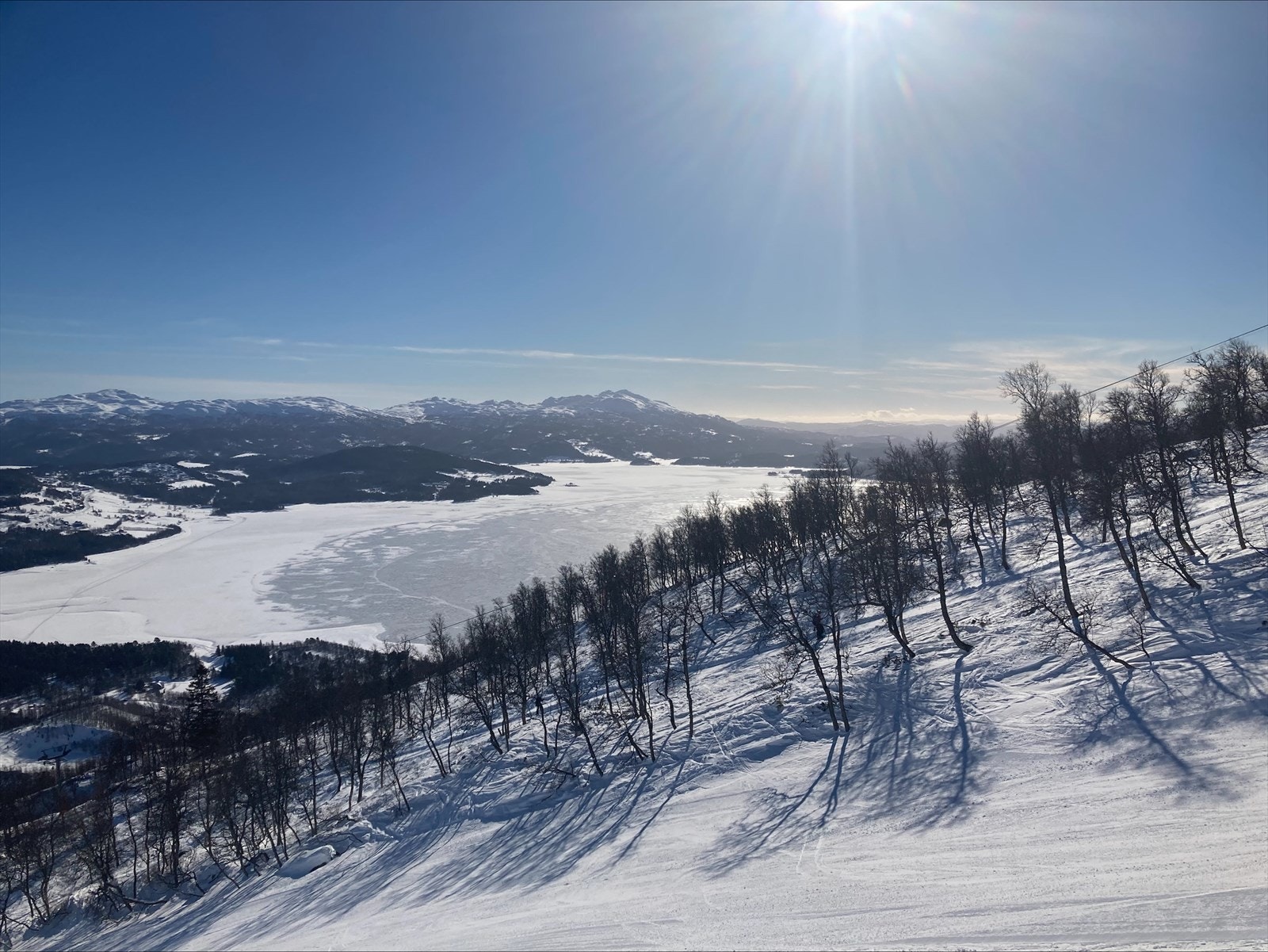 processed-BC71ECAE-DA8B-4D25-A0ED-3726E43AA488.jpeg Galleribilde