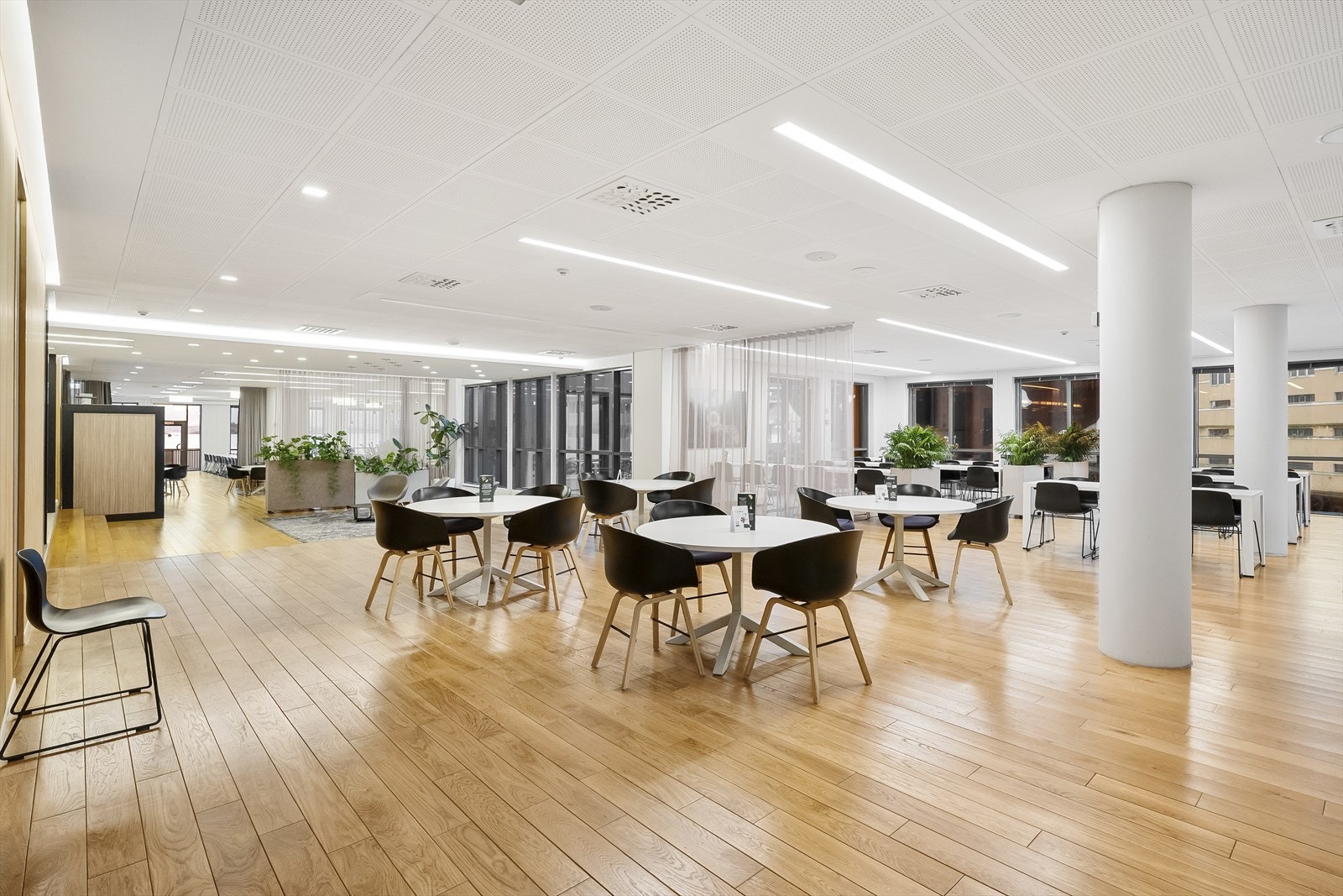 Felles spise område Galleribilde