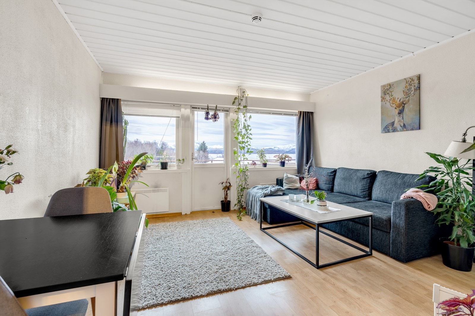 Stue hybel 3 Galleribilde