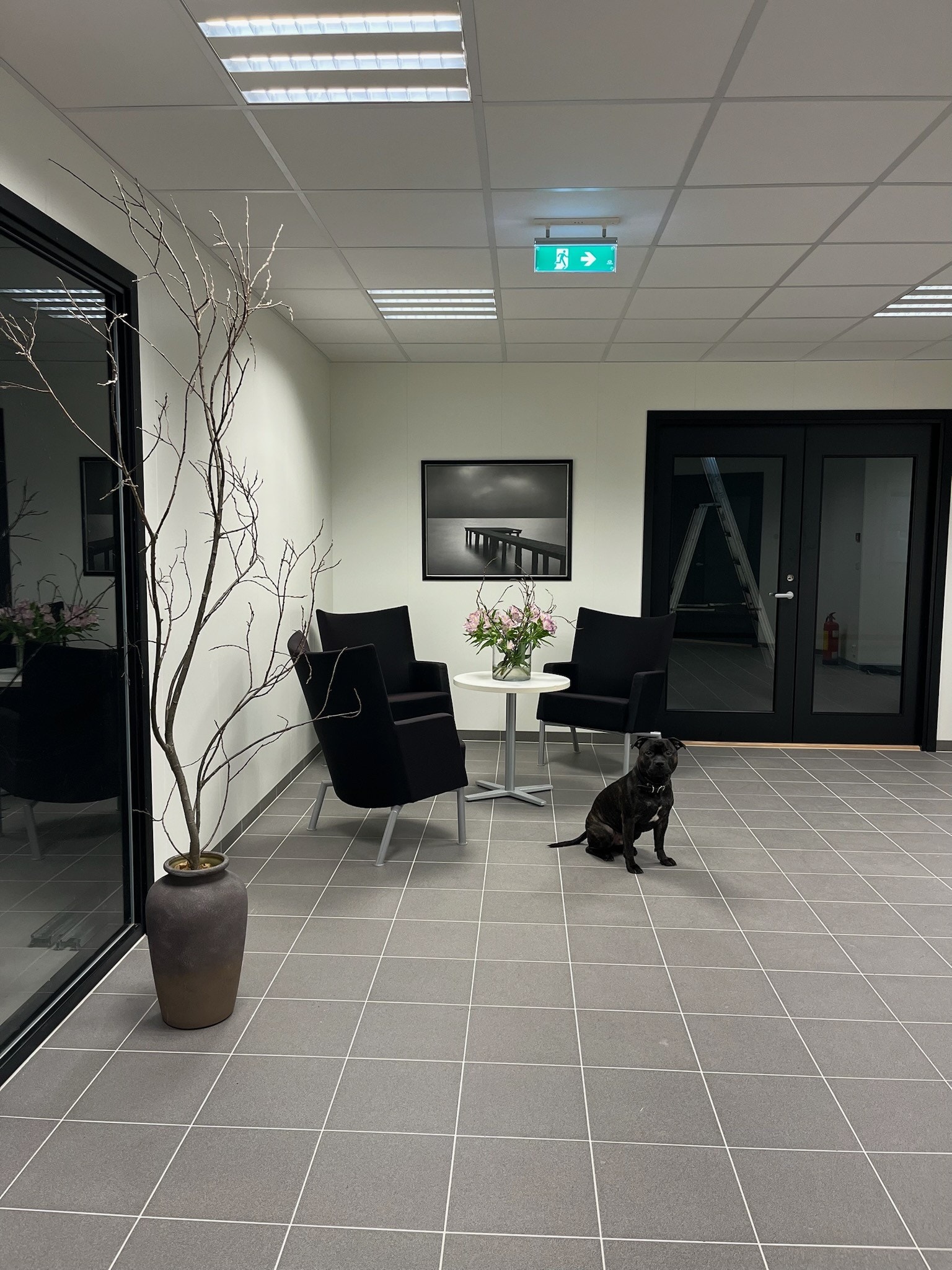 Korridor Galleribilde