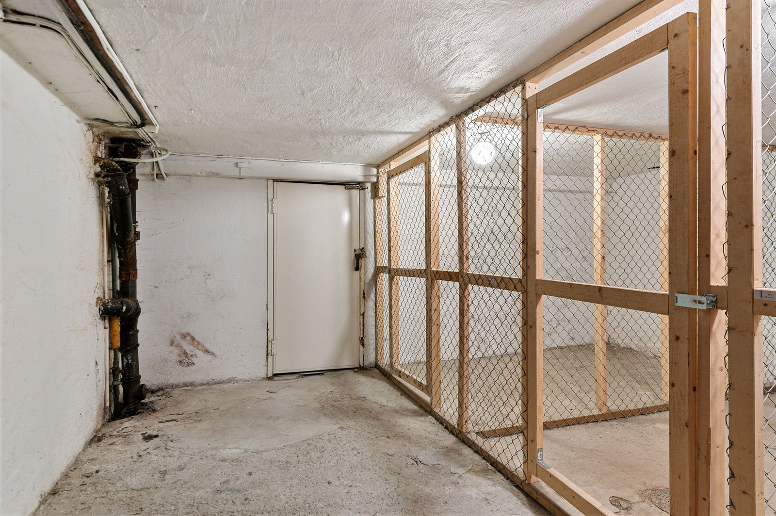 Nettingboder i kjeller. Galleribilde