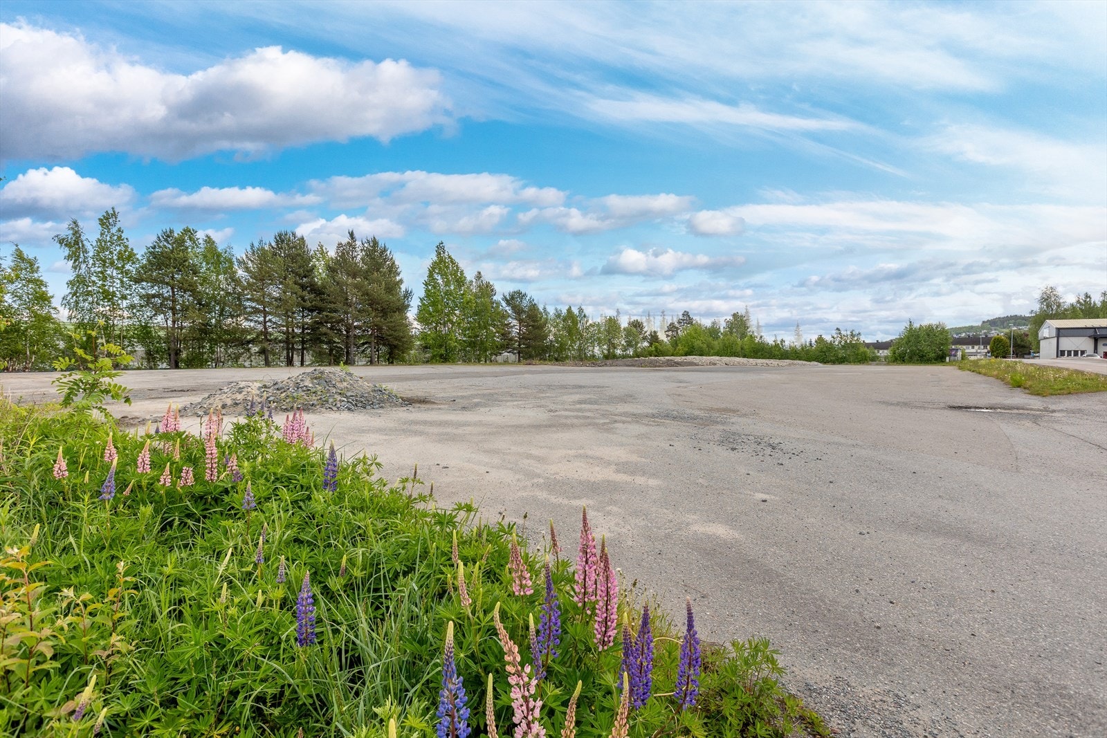 Dagens innkjøring til tomten. Noen rester etter tidligere bebyggelse. Galleribilde