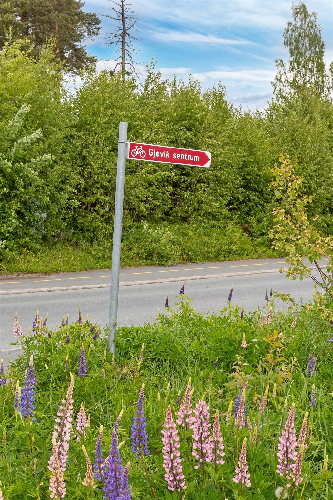 Gangveg til sentrum, Hunndalen mv. Galleribilde