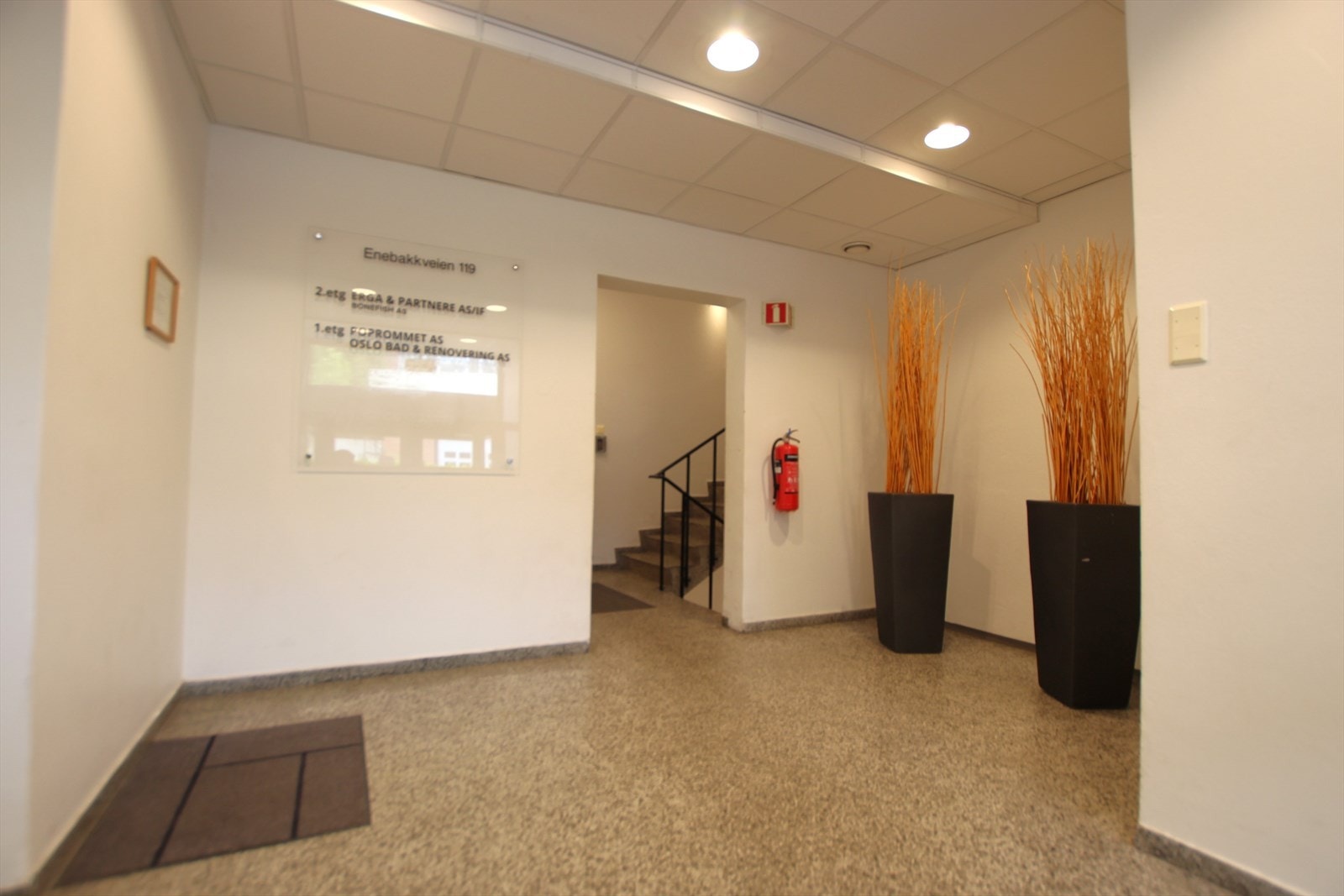 IMG_0263.JPG Galleribilde