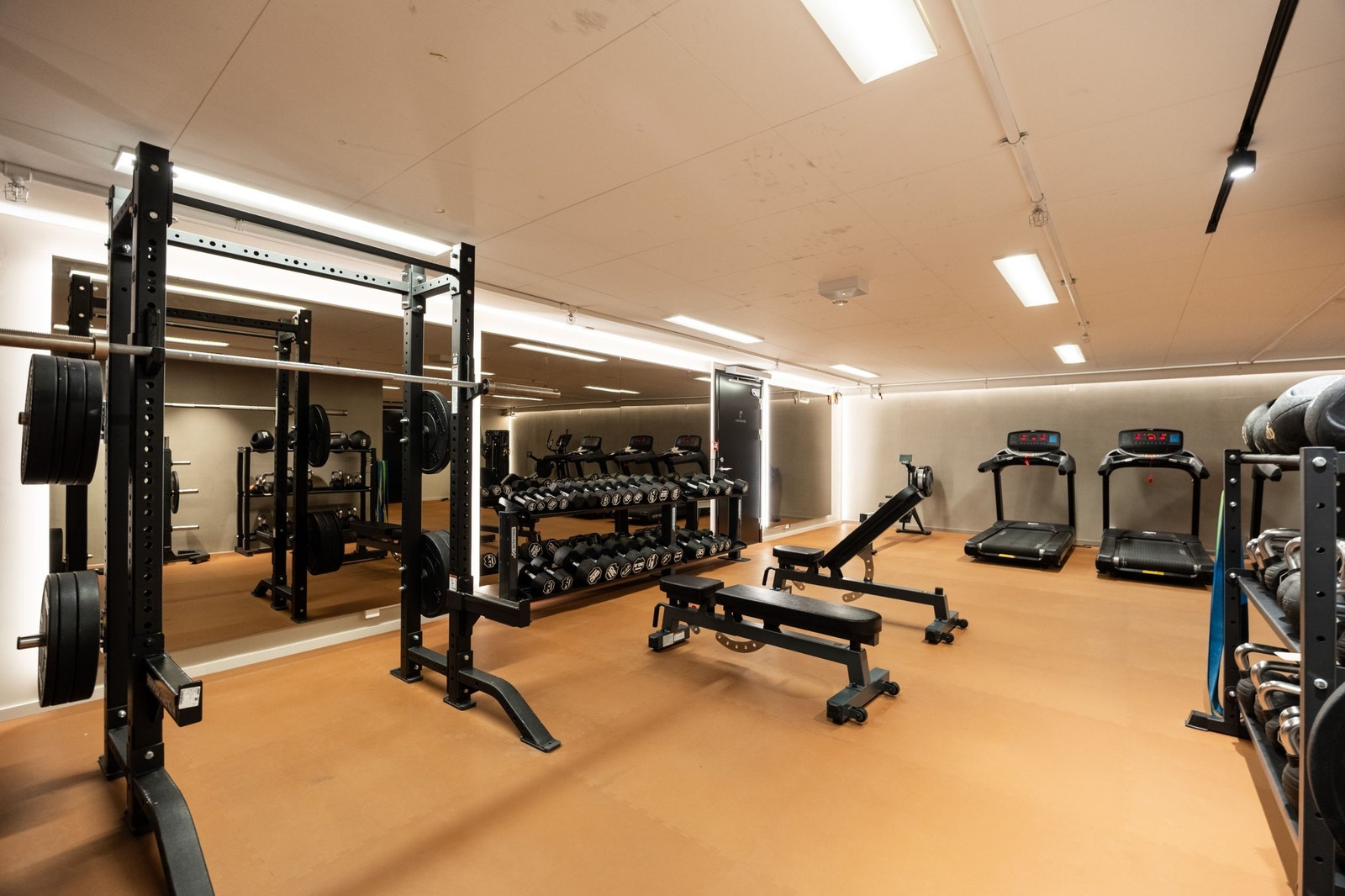 Trimrom - Foto: Daniel Bergsagel Galleribilde