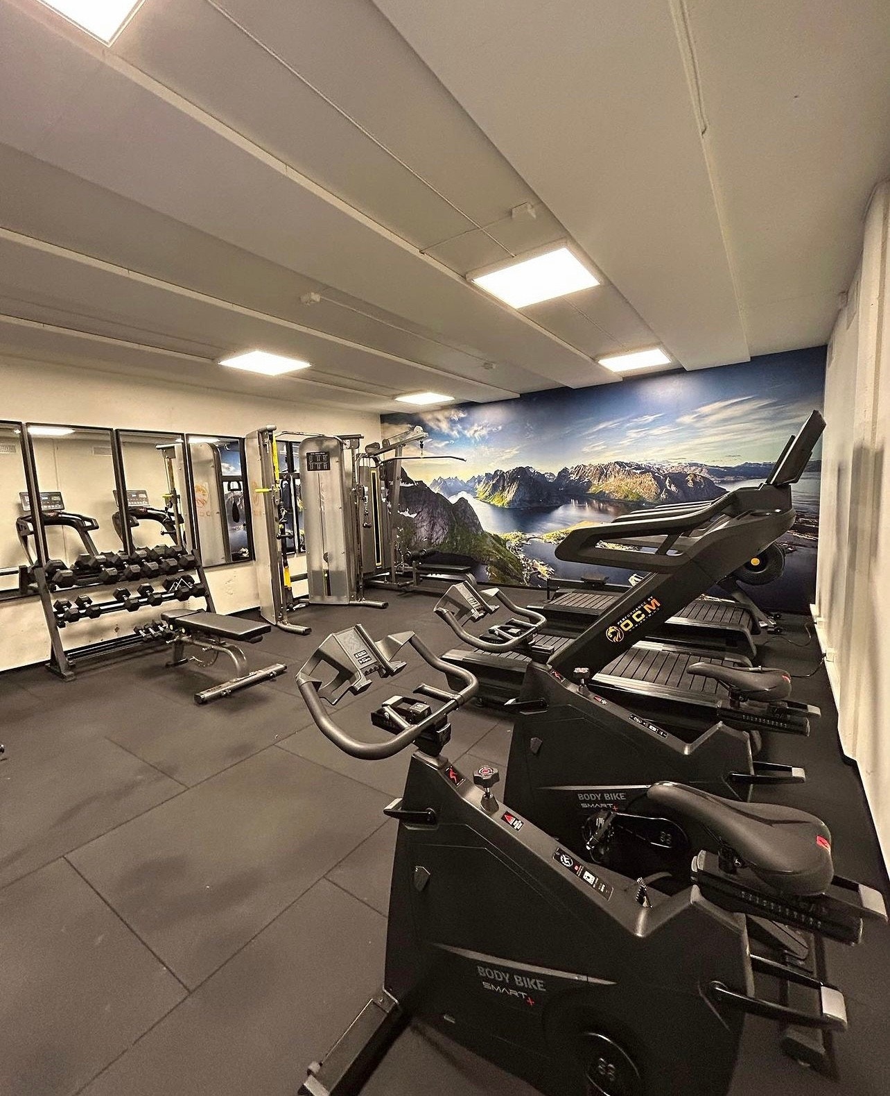 Treningsrom Galleribilde