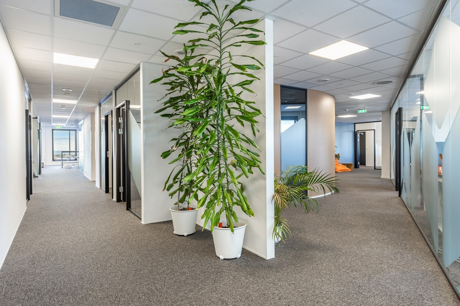 Meget flotte kontorlokaler. Galleribilde