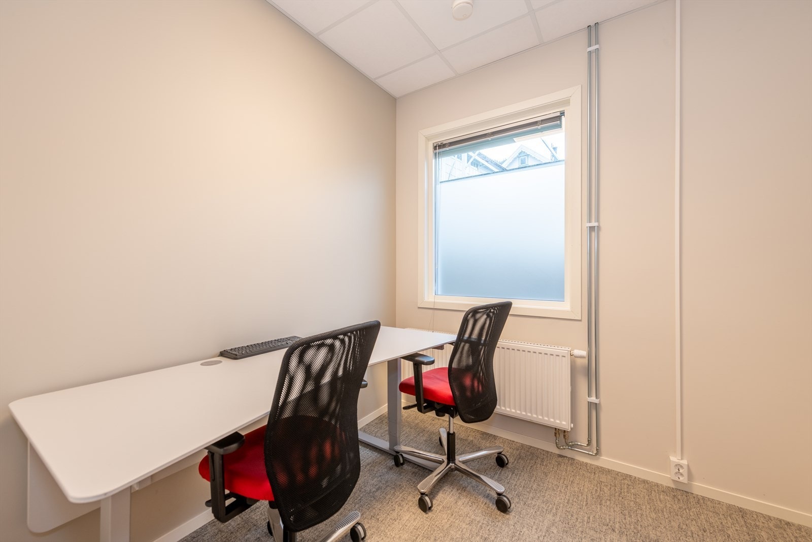 NEG-22.jpg Galleribilde